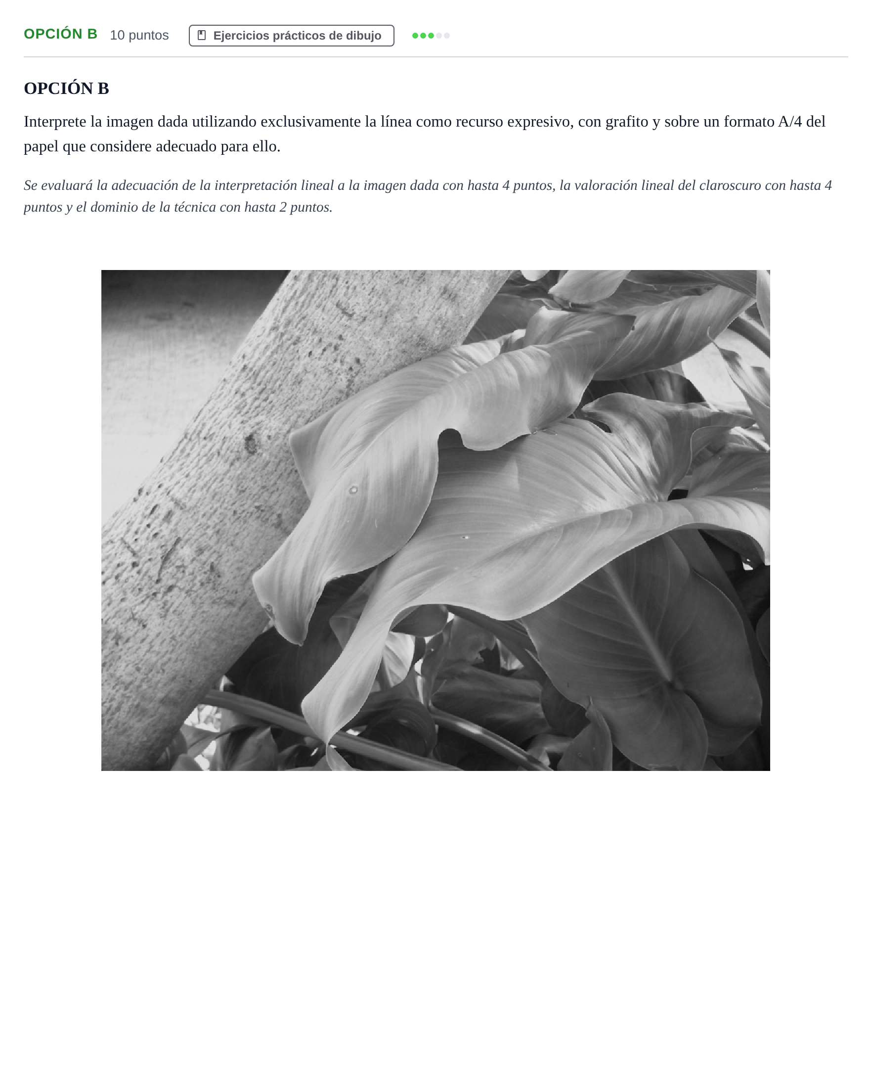 Enunciado: Opción B · Dibujo Artístico II PAU Andalucía Ordinaria Reserva B 2013