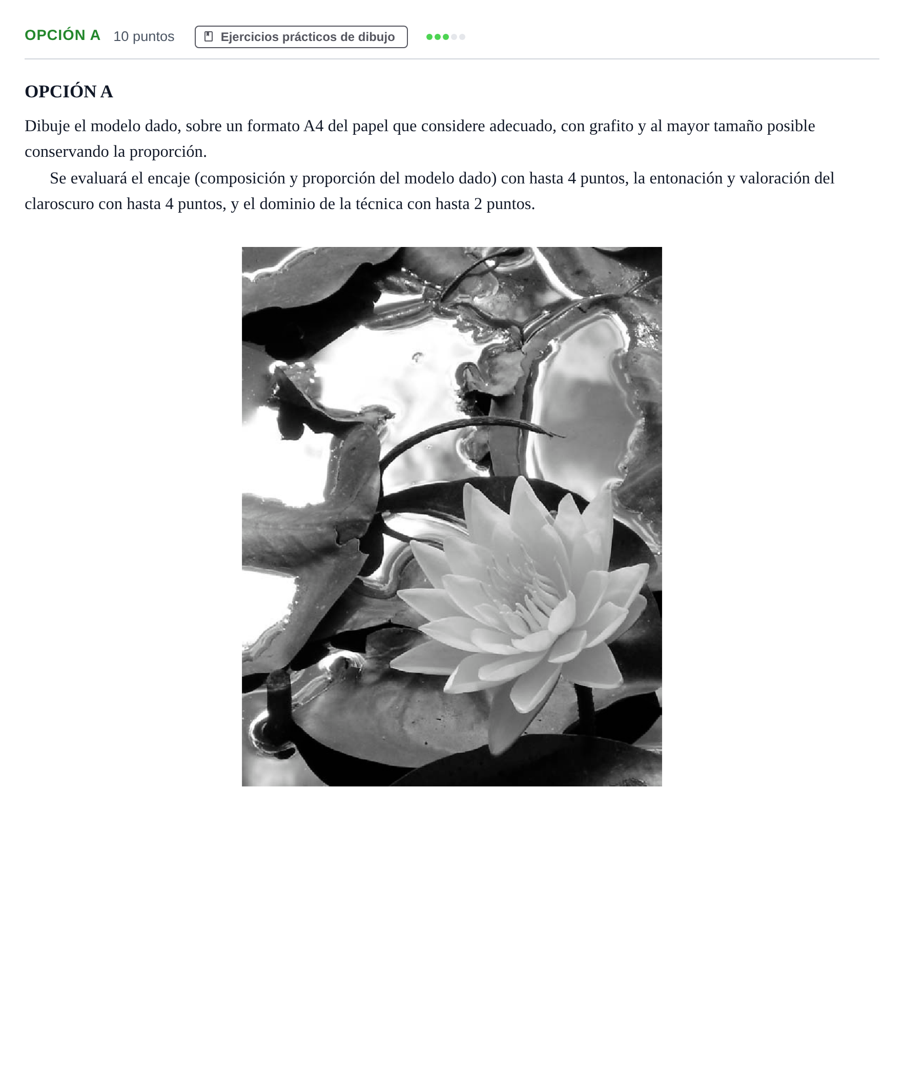 Enunciado: Opción A · Dibujo Artístico II PAU Andalucía Ordinaria Titular 2013