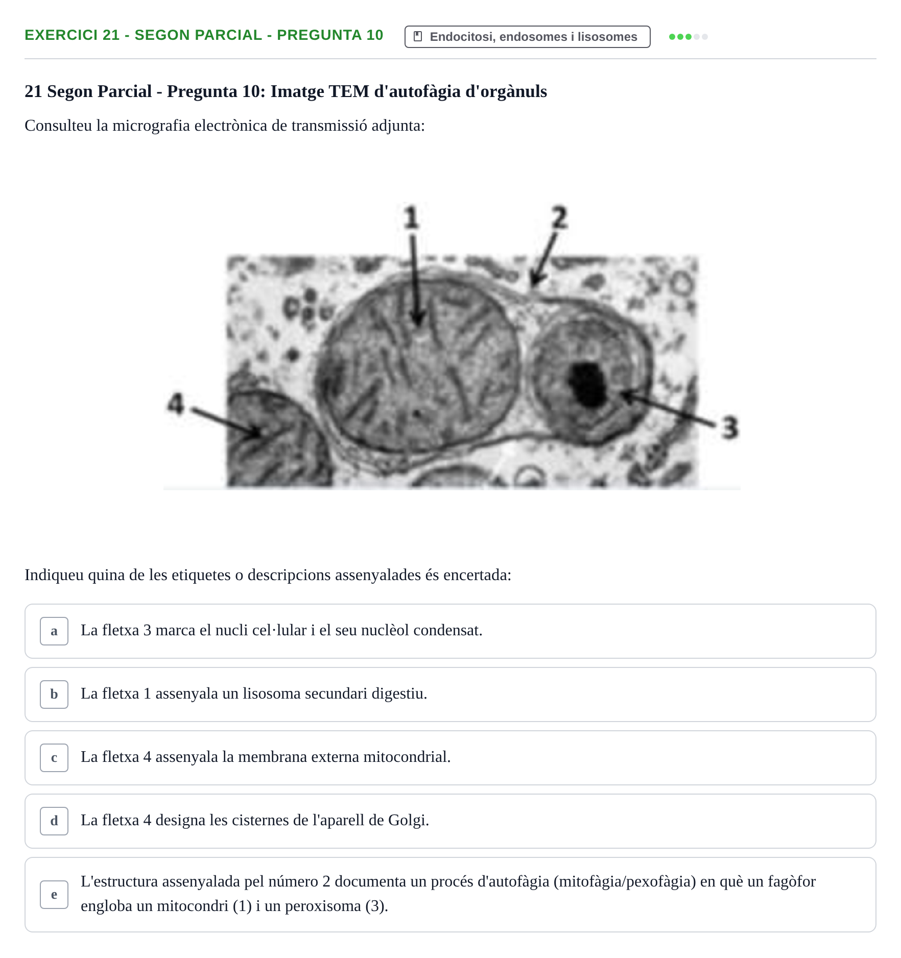 Enunciado: Ejercicio 21 - Segon Parcial - Pregunta 10 · Biología Celular UB Avaluacions de Biologia Cel·lular: Parcials i Convocatòria Final