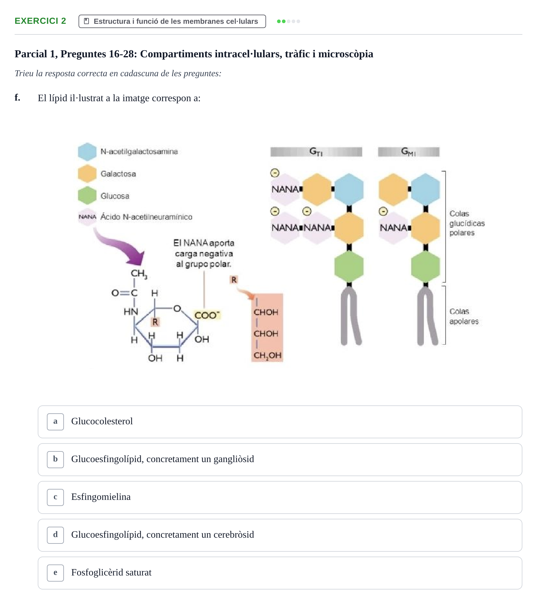 Enunciado: Ejercicio 2 - Estructura i funció de les membranes cel·lula… · Biología Celular UB Recull de preguntes de preparació d'examen (Parcials 1 i 2)