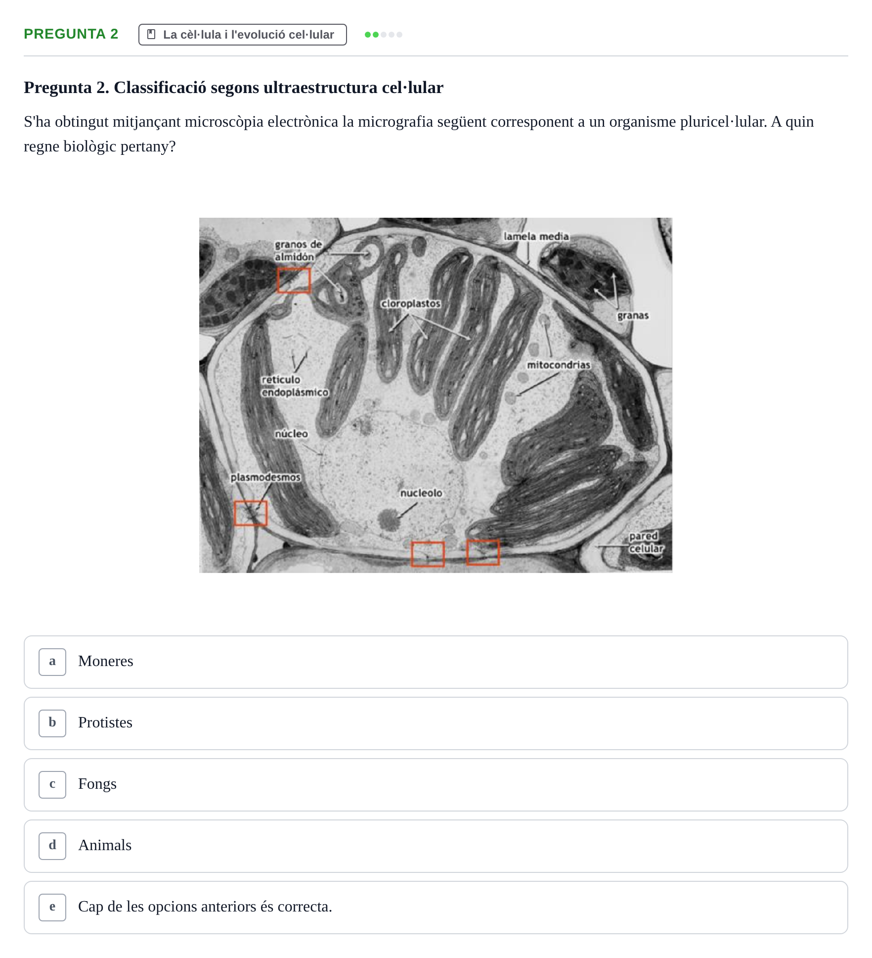Enunciado: Pregunta 2 · Biología Celular UB Examen Primer Parcial de Biologia Cel·lular