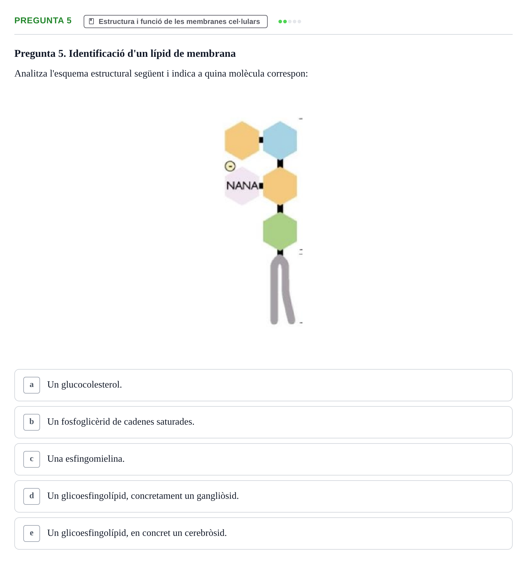 Enunciado: Pregunta 5 · Biología Celular UB Examen Primer Parcial de Biologia Cel·lular