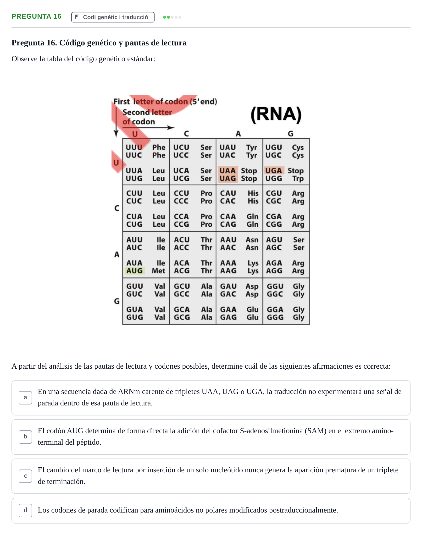 Enunciado: Pregunta 16 · Bioquímica Estructural i Biologia Molecular UAB 2025
