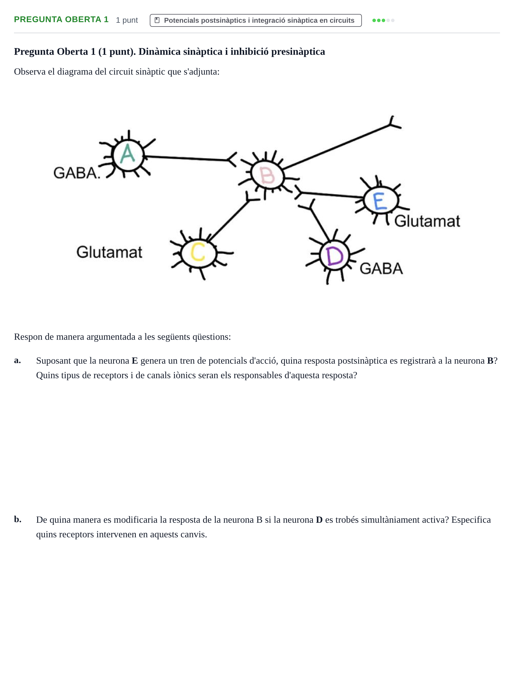 Enunciado: Pregunta Oberta 1 · Fundamentos de Psicobiología I UAB 2026
