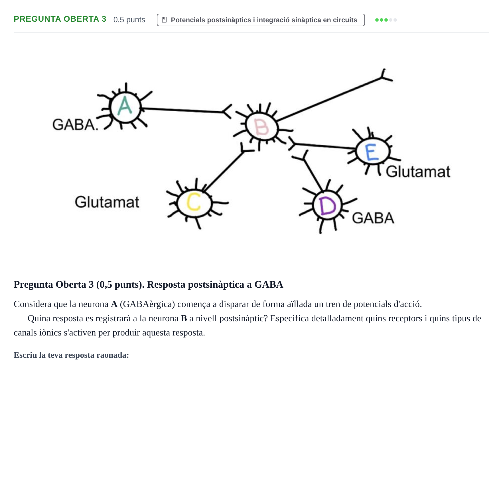 Enunciado: Pregunta Oberta 3 · Fundamentos de Psicobiología I UAB 2026
