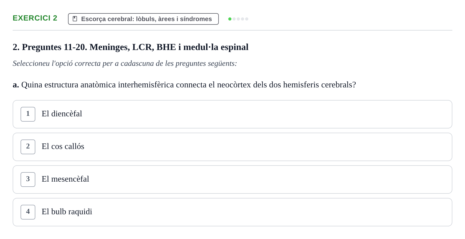 Enunciado: Ejercicio 2 - Escorça cerebral · Fundamentos de Psicobiología Ii UAB Examen Parcial de Neuroanatomia (Temes 1-8)