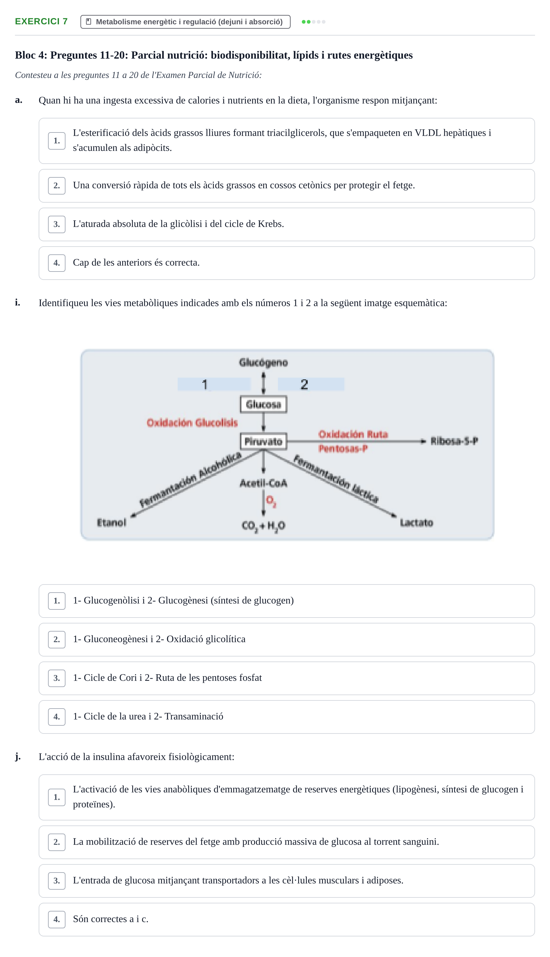 Enunciado: Ejercicio 7 - Metabolisme energètic i regulació · Bases bioquímiques en nutrició per l'atenció a la persona UDL Recull d'exàmens tipus test de bioquímica i nutrició
