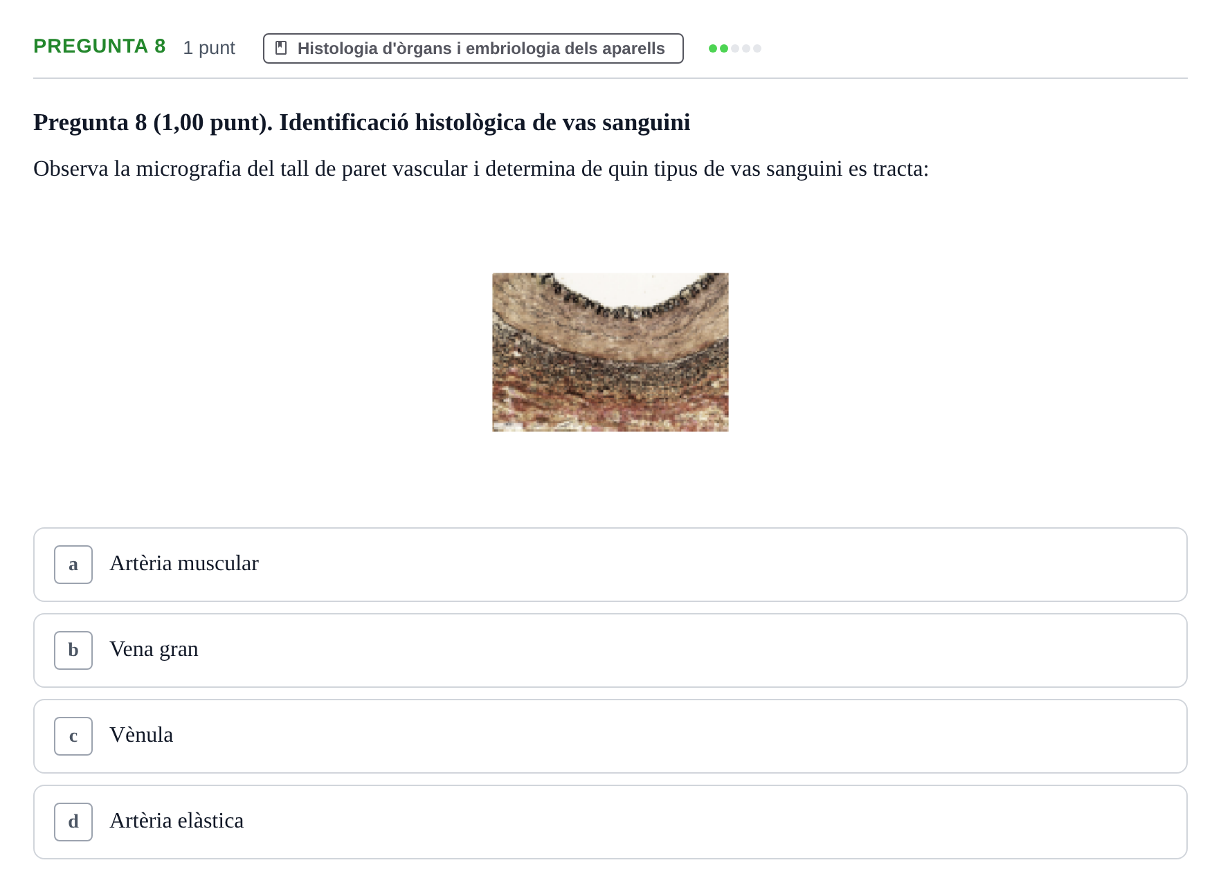 Enunciado: Pregunta 8 · Estructura i Funció del Cos Humà II UVIC Examen primer parcial: Estructura i Funció del Cos Humà II