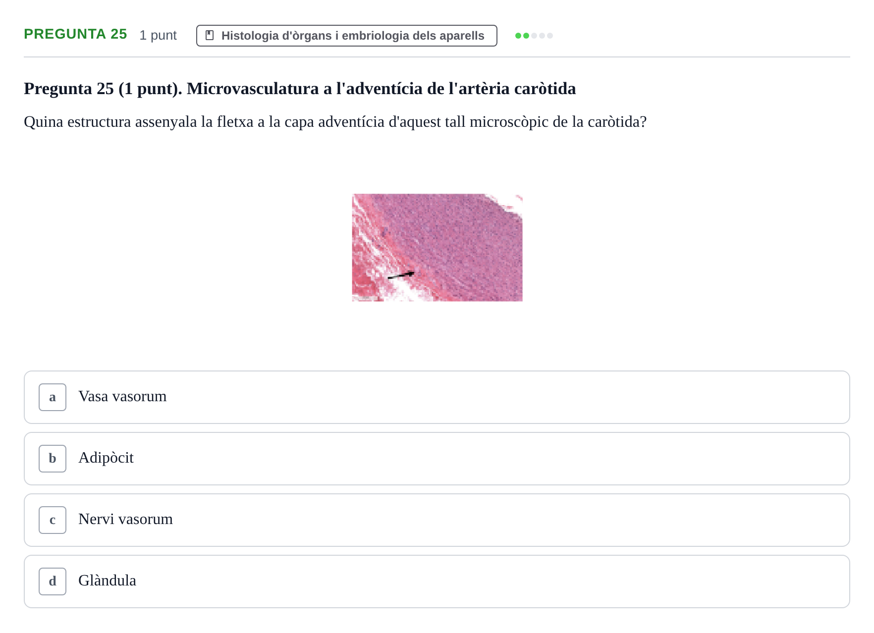 Enunciado: Pregunta 25 · Estructura i Funció del Cos Humà II UVIC Examen de síntesi: Estructura i Funció del Cos Humà II