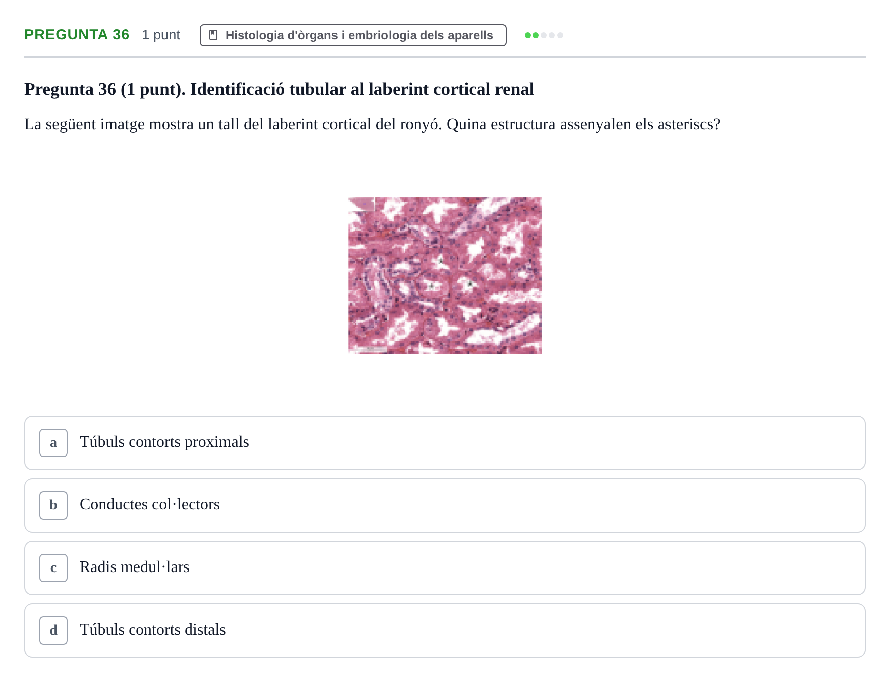 Enunciado: Pregunta 36 · Estructura i Funció del Cos Humà II UVIC Examen de síntesi: Estructura i Funció del Cos Humà II