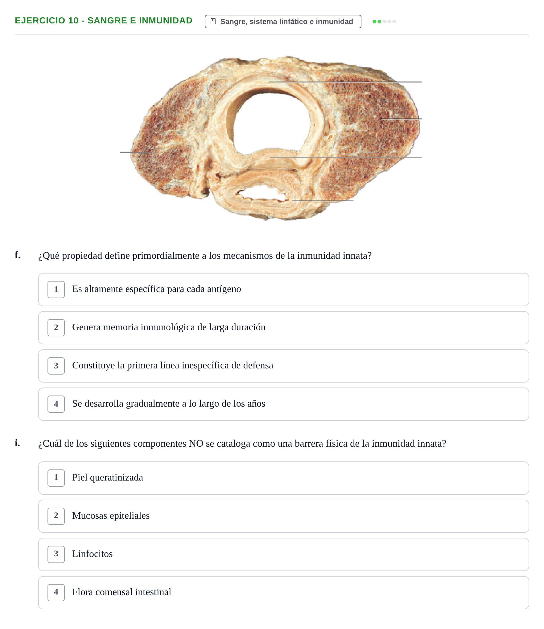 Enunciado: Ejercicio 10 - Sangre e inmunidad · BASES BIOLÒGIQUES PER L'ATENCIO A LA PERSONA: ANATOMIA UDL 2023