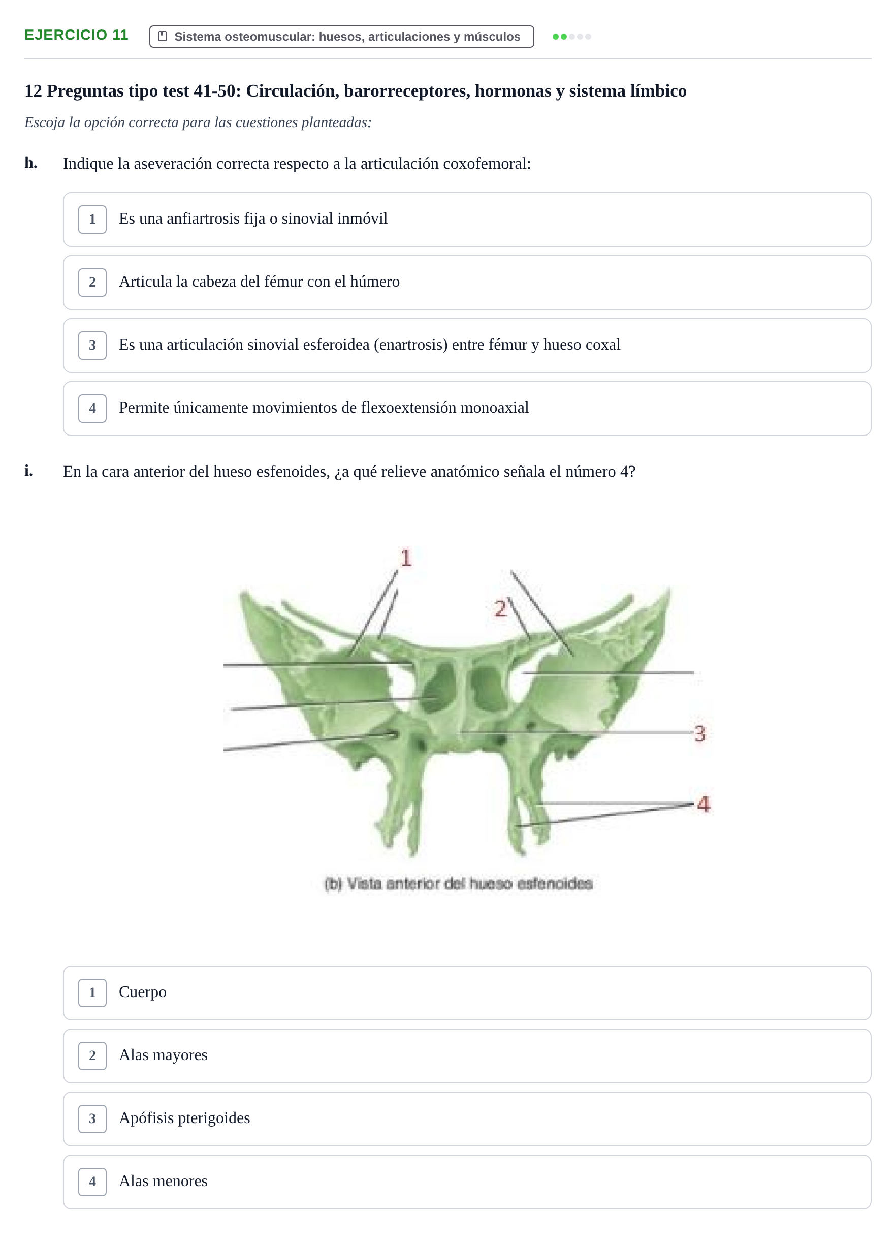Enunciado: Ejercicio 11 - Sistema osteomuscular · BASES BIOLÒGIQUES PER L'ATENCIO A LA PERSONA: ANATOMIA UDL 2023