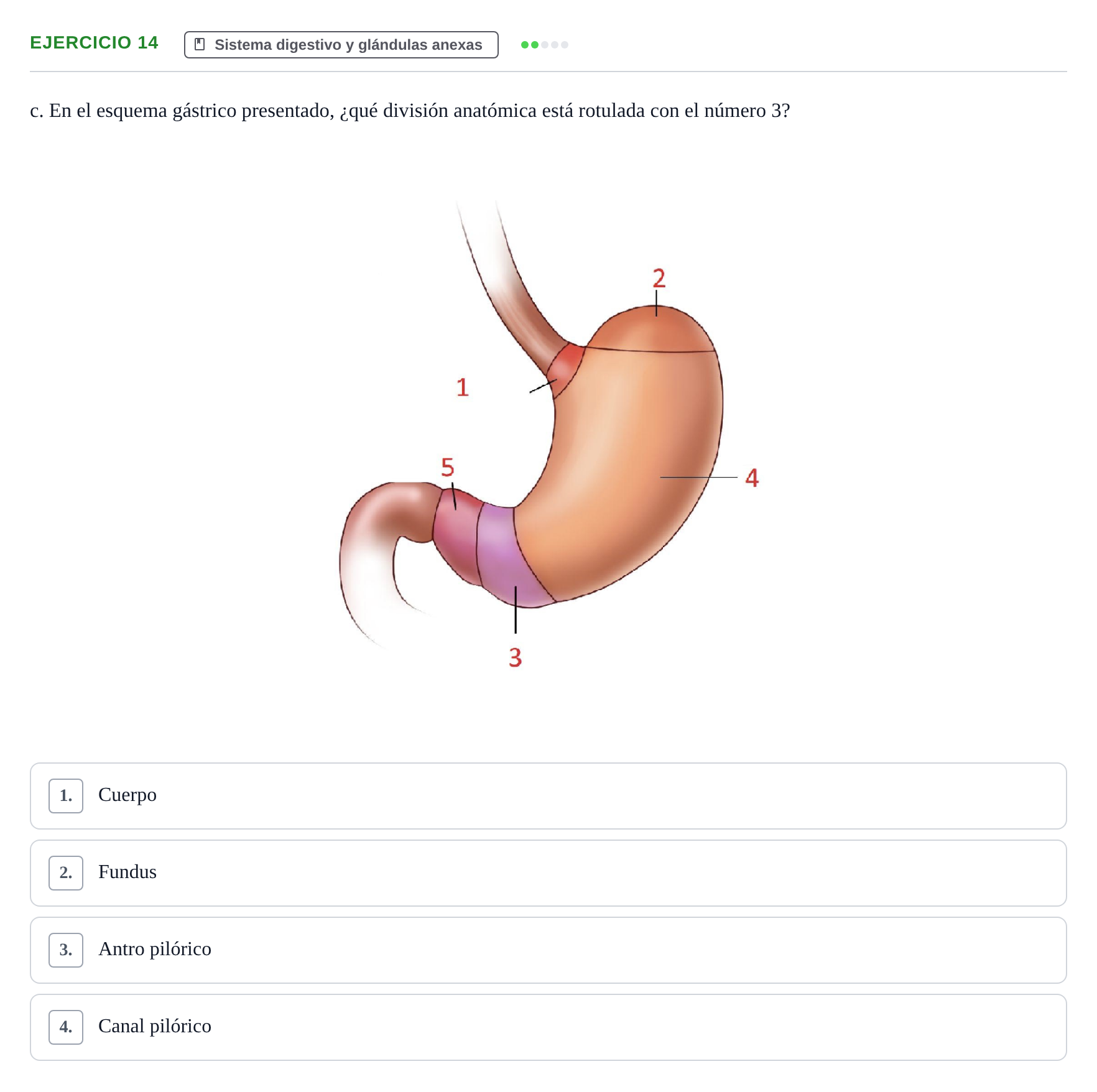 Enunciado: Ejercicio 14 - Sistema digestivo · BASES BIOLÒGIQUES PER L'ATENCIO A LA PERSONA: ANATOMIA UDL 2023