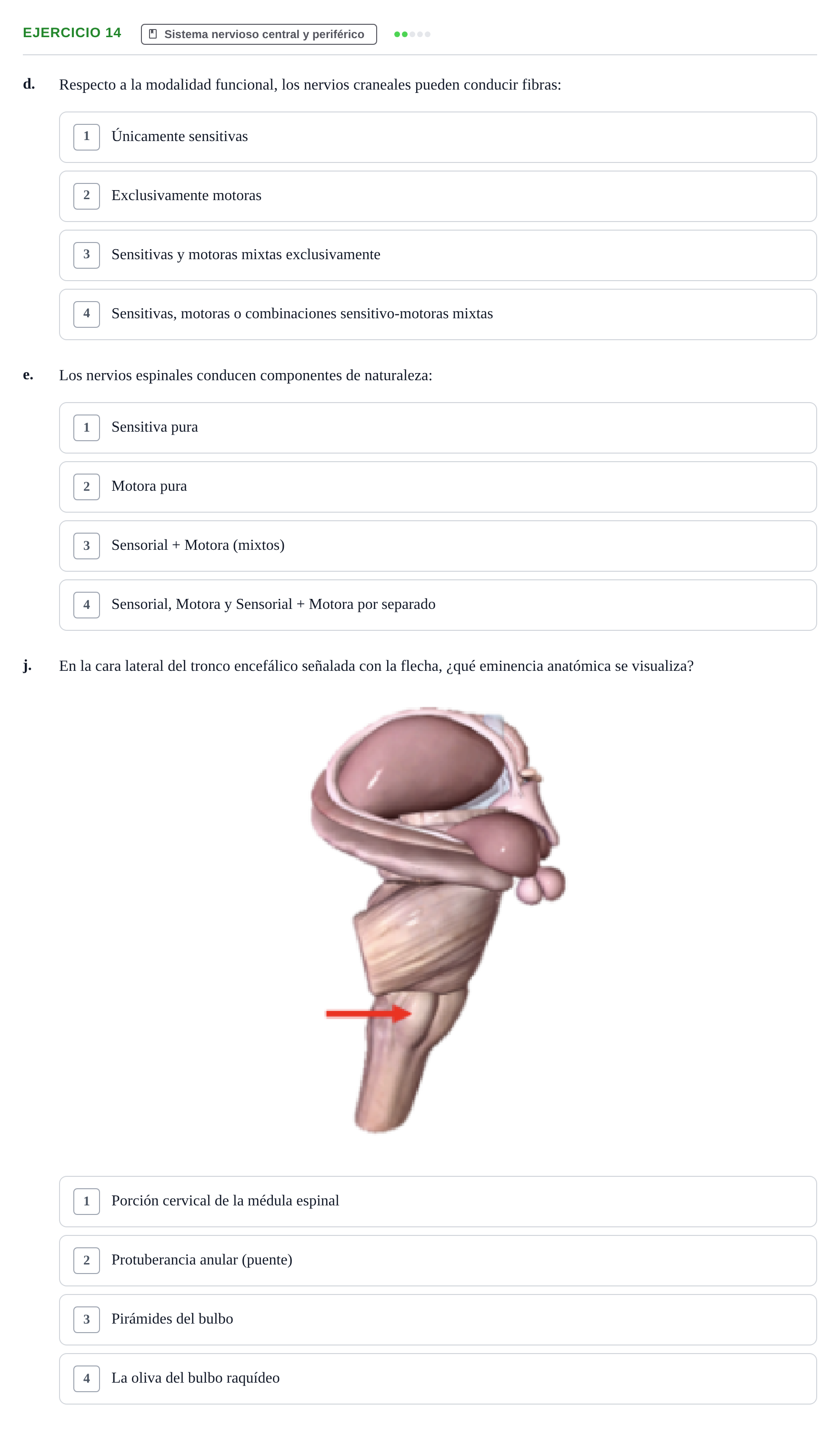 Enunciado: Ejercicio 14 - Sistema nervioso · BASES BIOLÒGIQUES PER L'ATENCIO A LA PERSONA: ANATOMIA UDL 2023