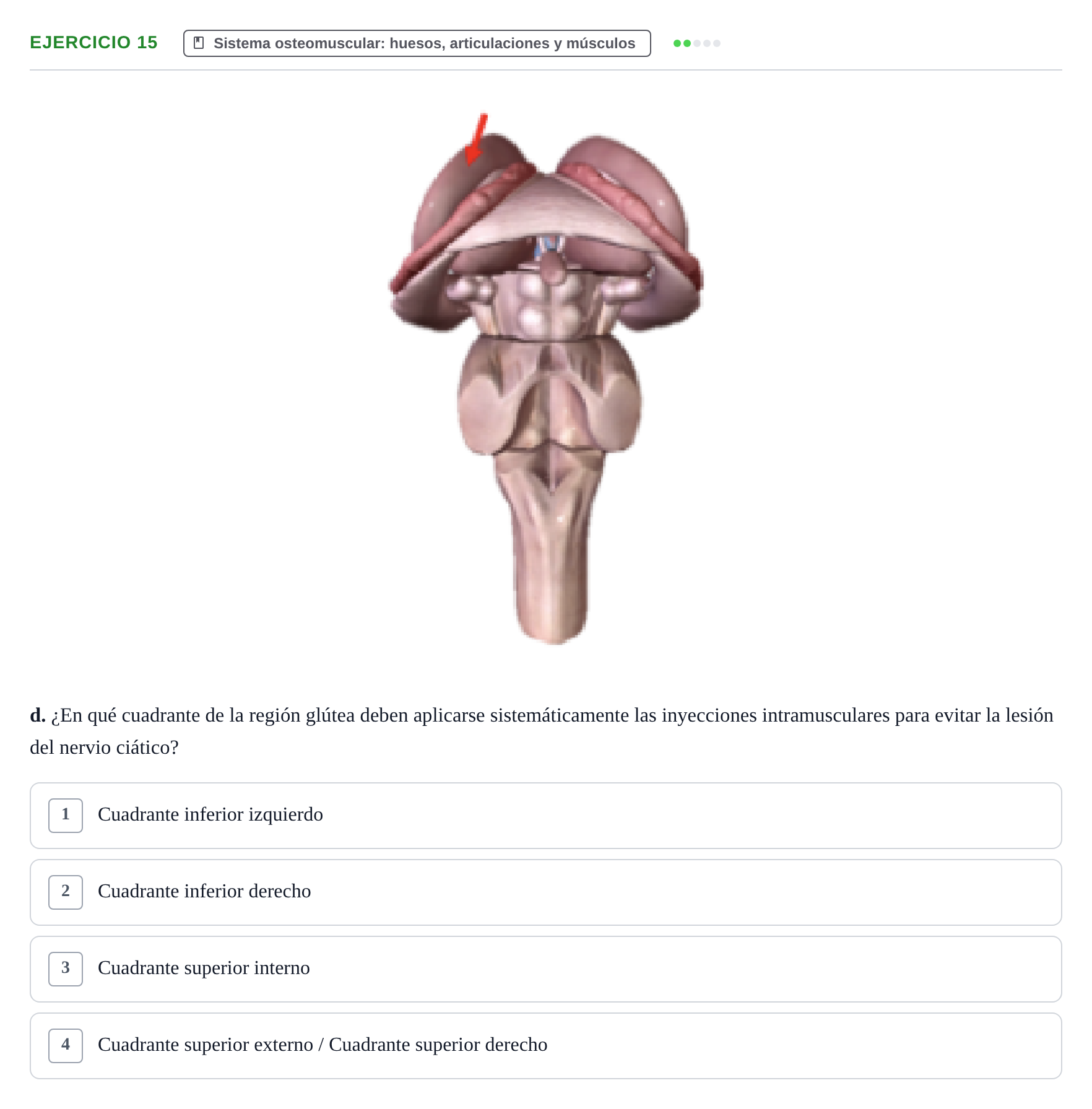 Enunciado: Ejercicio 15 - Sistema osteomuscular · BASES BIOLÒGIQUES PER L'ATENCIO A LA PERSONA: ANATOMIA UDL 2023