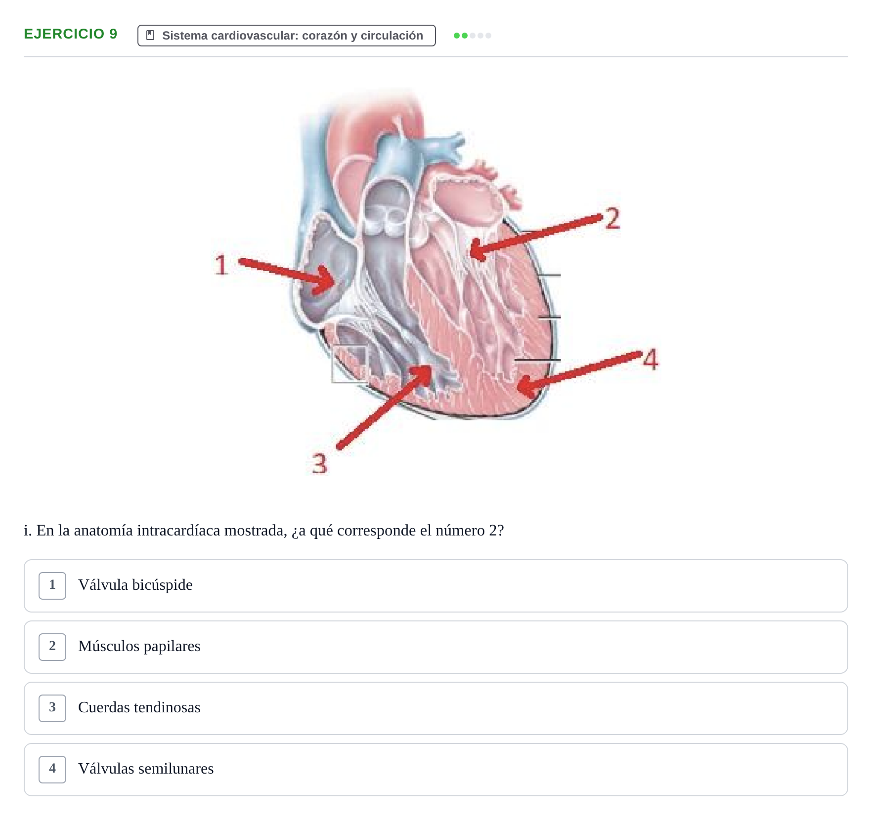 Enunciado: Ejercicio 9 - Sistema cardiovascular · BASES BIOLÒGIQUES PER L'ATENCIO A LA PERSONA: ANATOMIA UDL 2023