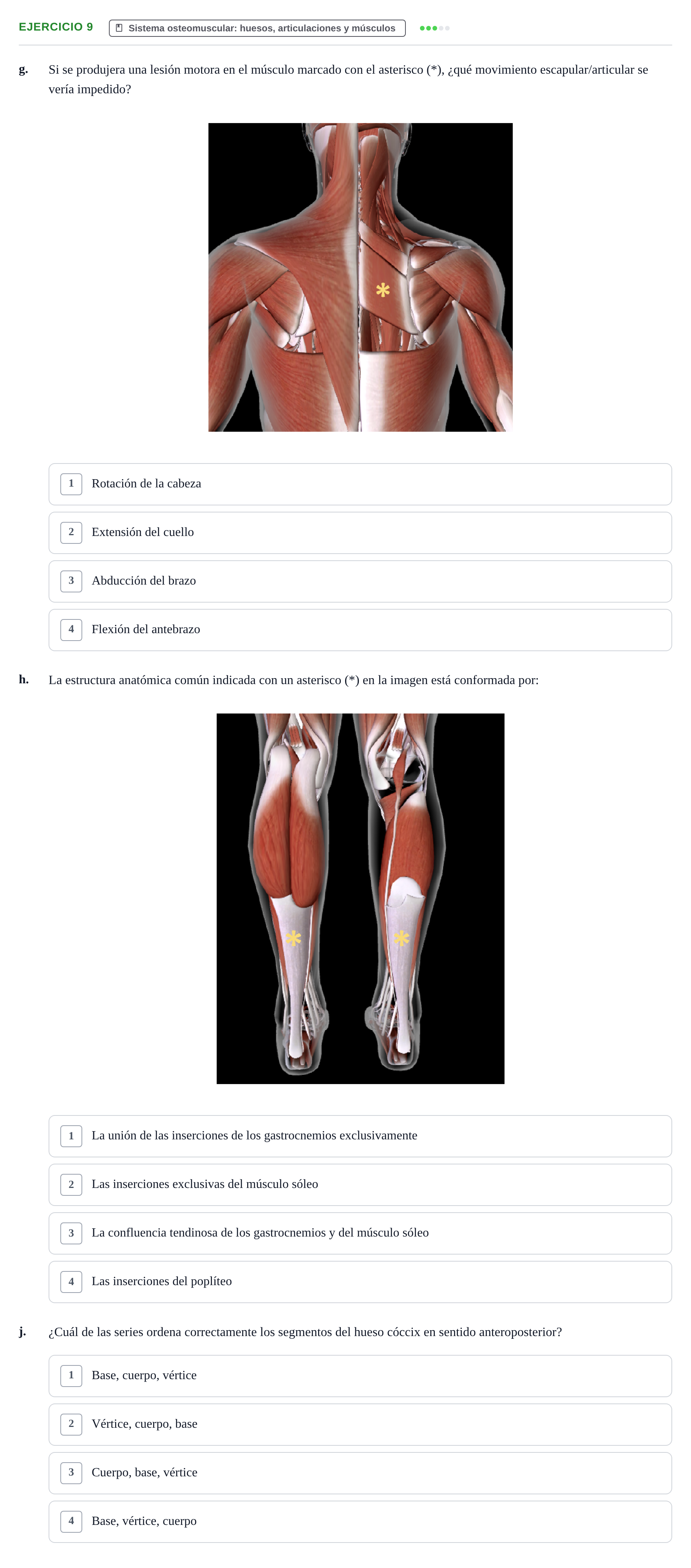 Enunciado: Ejercicio 9 - Sistema osteomuscular · BASES BIOLÒGIQUES PER L'ATENCIO A LA PERSONA: ANATOMIA UDL 2023