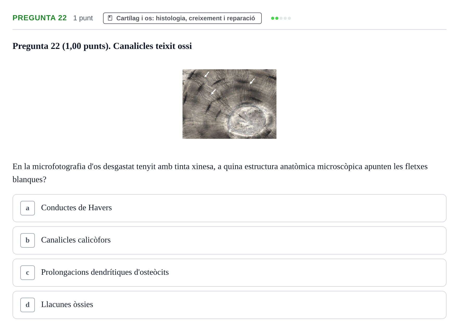 Enunciado: Pregunta 22 · Estructura i Funció del Cos Humà I UVIC 2023