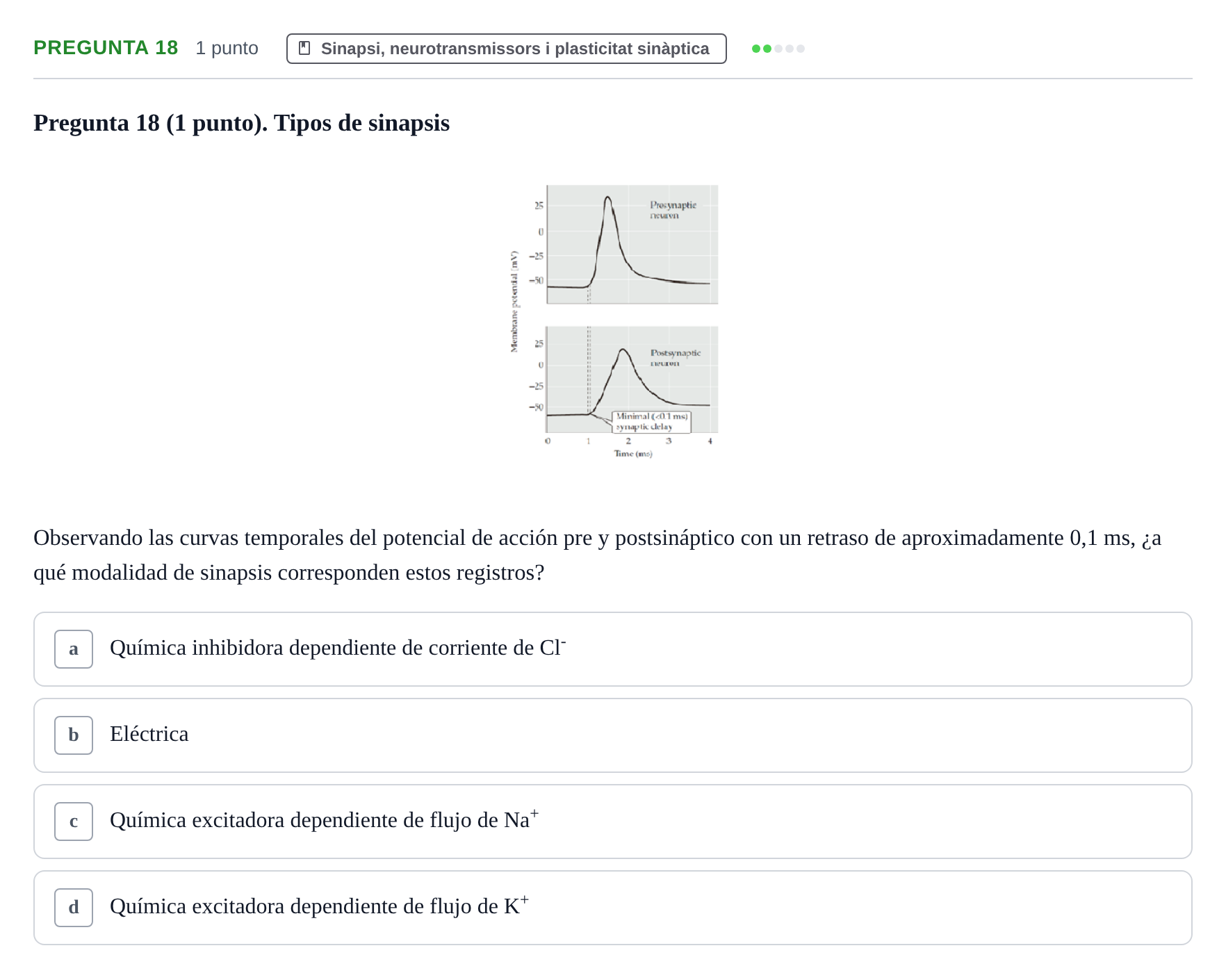 Enunciado: Pregunta 18 · Estructura i Funció del Cos Humà III UVIC Examen Parcial 1. Neuroanatomía y Fisiología del Sistema Nervioso