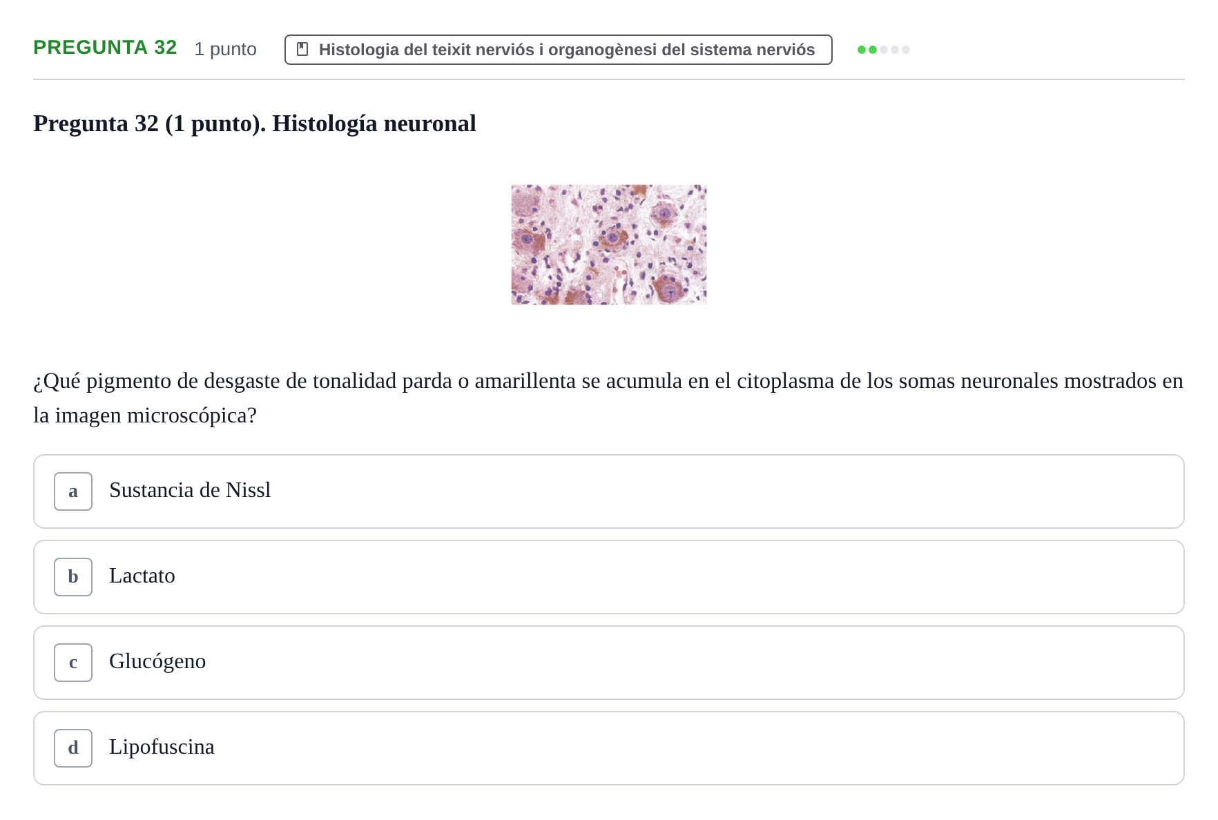 Enunciado: Pregunta 32 · Estructura i Funció del Cos Humà III UVIC Examen Parcial 1. Neuroanatomía y Fisiología del Sistema Nervioso