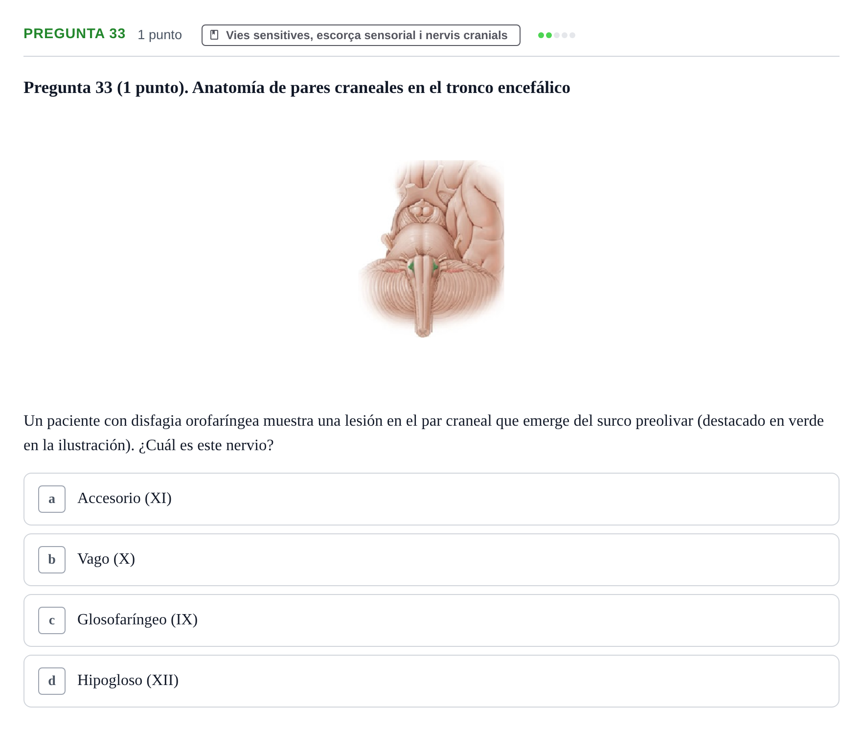 Enunciado: Pregunta 33 · Estructura i Funció del Cos Humà III UVIC Examen Parcial 1. Neuroanatomía y Fisiología del Sistema Nervioso
