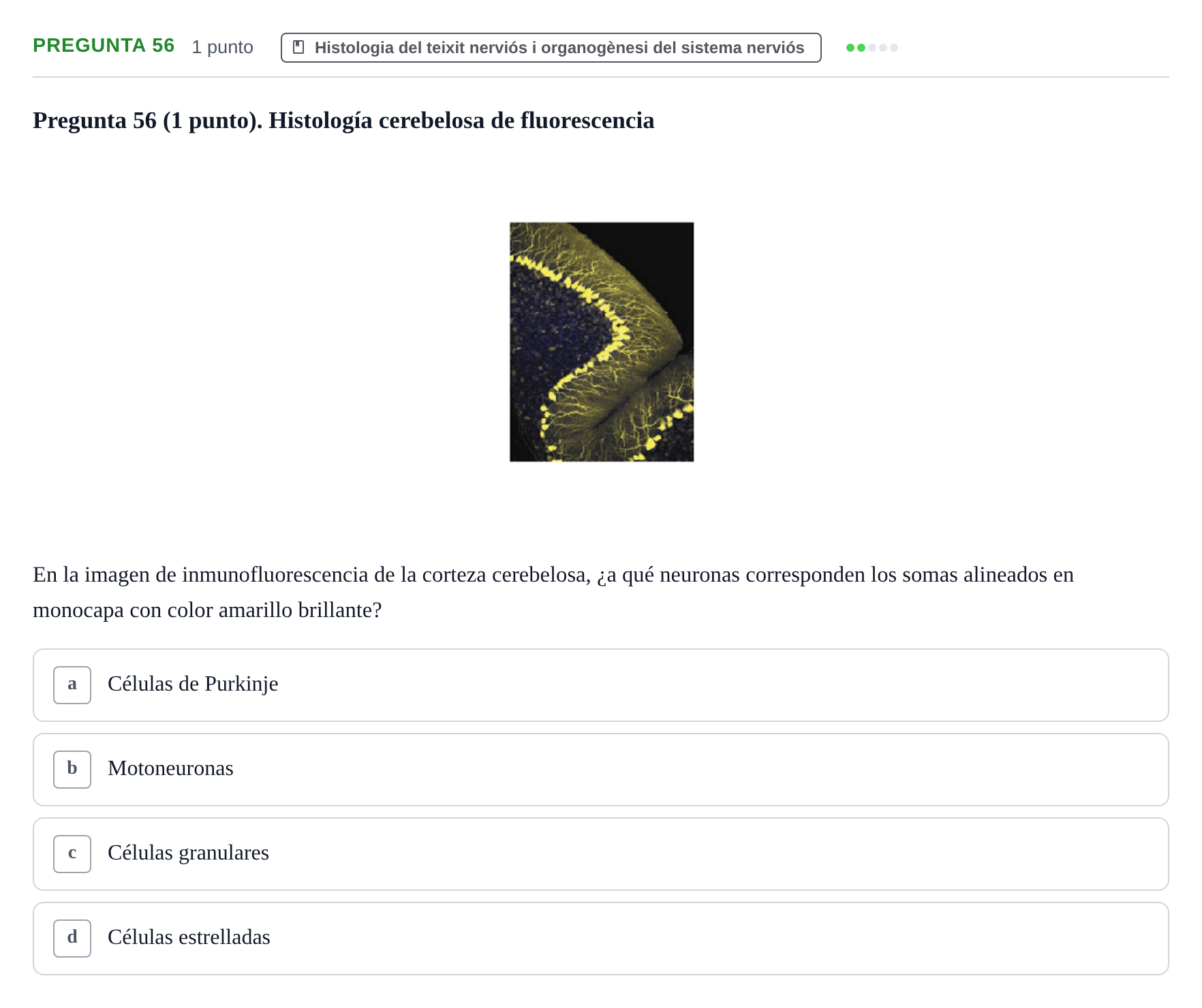 Enunciado: Pregunta 56 · Estructura i Funció del Cos Humà III UVIC Examen Parcial 1. Neuroanatomía y Fisiología del Sistema Nervioso