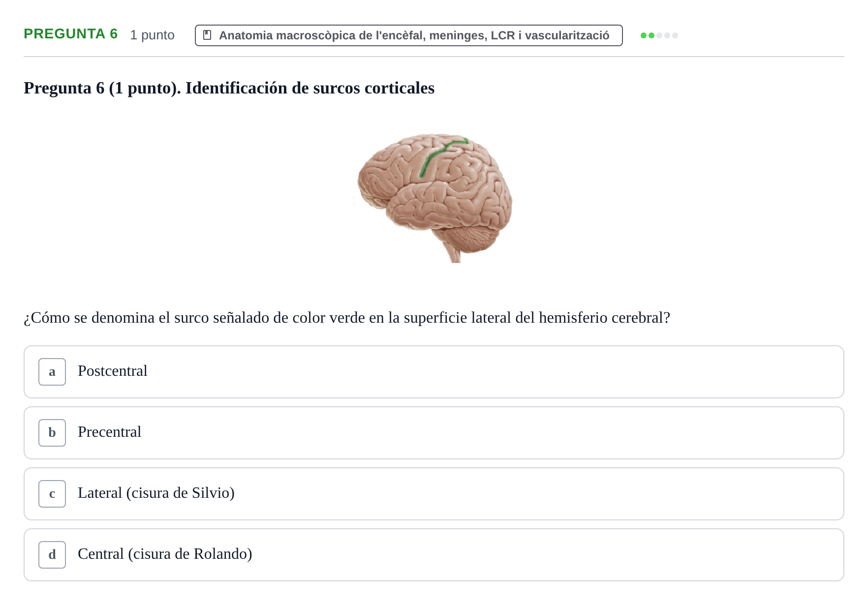 Enunciado: Pregunta 6 · Estructura i Funció del Cos Humà III UVIC Examen Parcial 1. Neuroanatomía y Fisiología del Sistema Nervioso