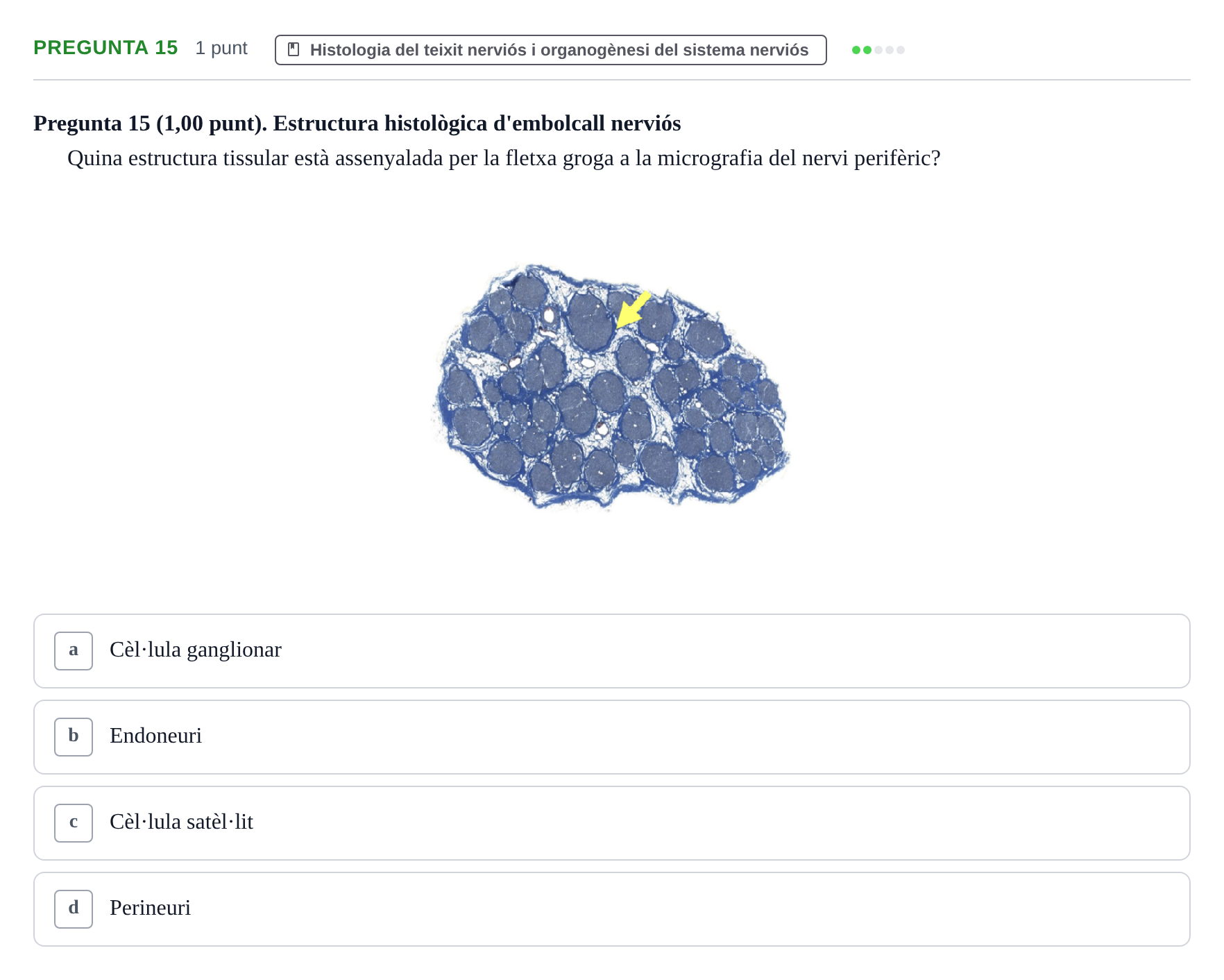 Enunciado: Pregunta 15 · Estructura i Funció del Cos Humà III UVIC Examen Parcial 1. Estructura i Funció del Cos Humà III