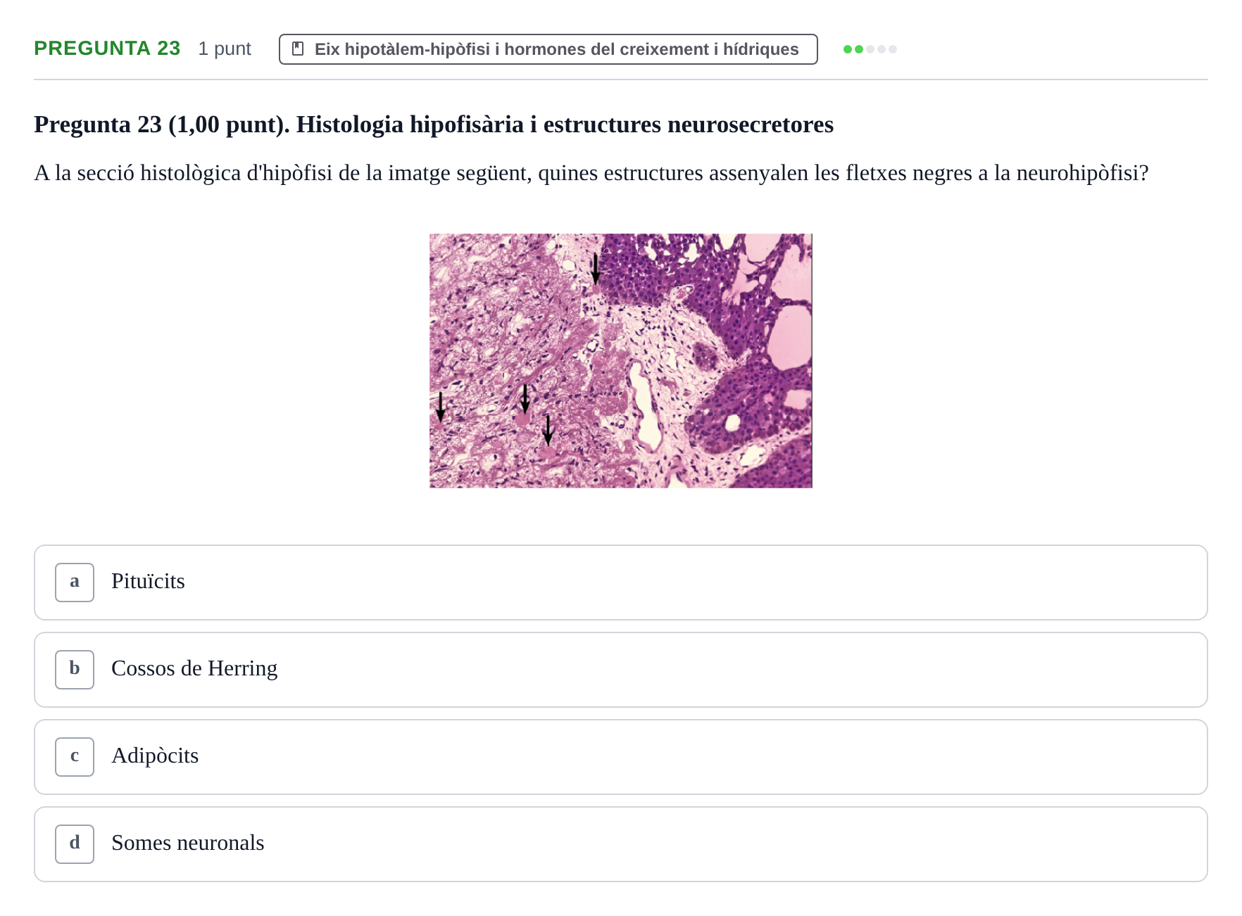 Enunciado: Pregunta 23 · Estructura i Funció del Cos Humà III UVIC Examen Parcial 1. Estructura i Funció del Cos Humà III