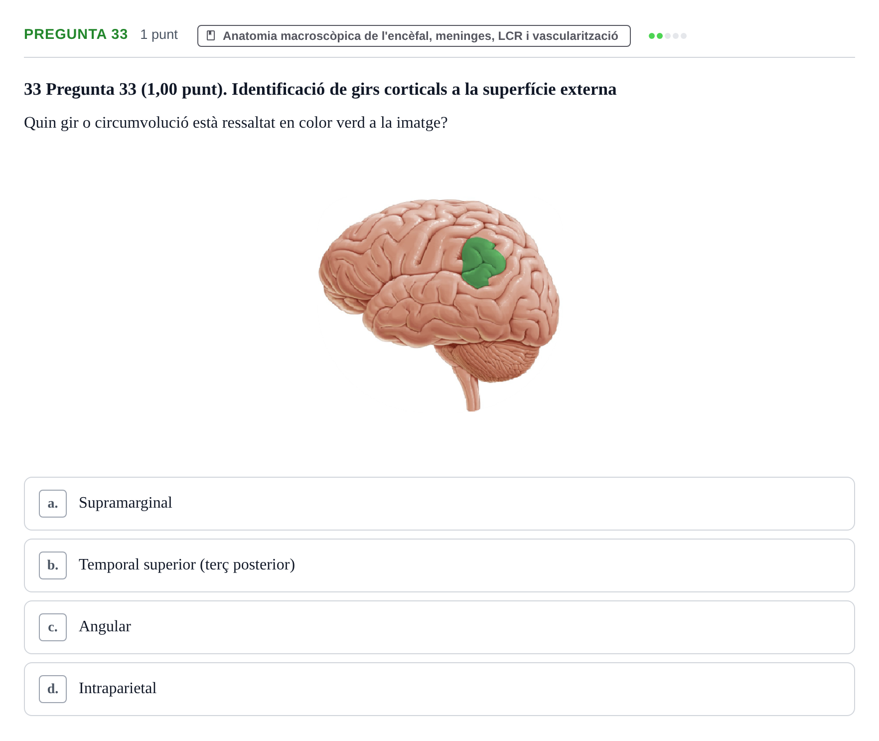 Enunciado: Pregunta 33 · Estructura i Funció del Cos Humà III UVIC Examen Parcial 1. Estructura i Funció del Cos Humà III