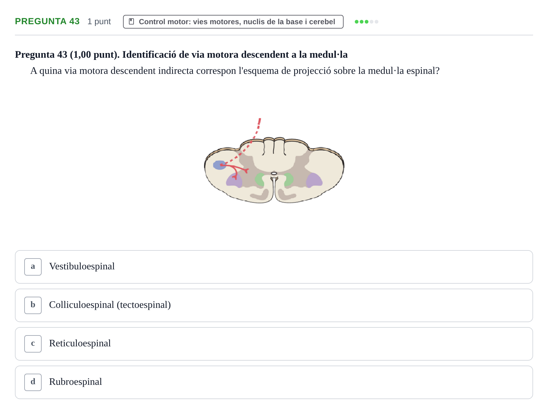 Enunciado: Pregunta 43 · Estructura i Funció del Cos Humà III UVIC Examen Parcial 1. Estructura i Funció del Cos Humà III