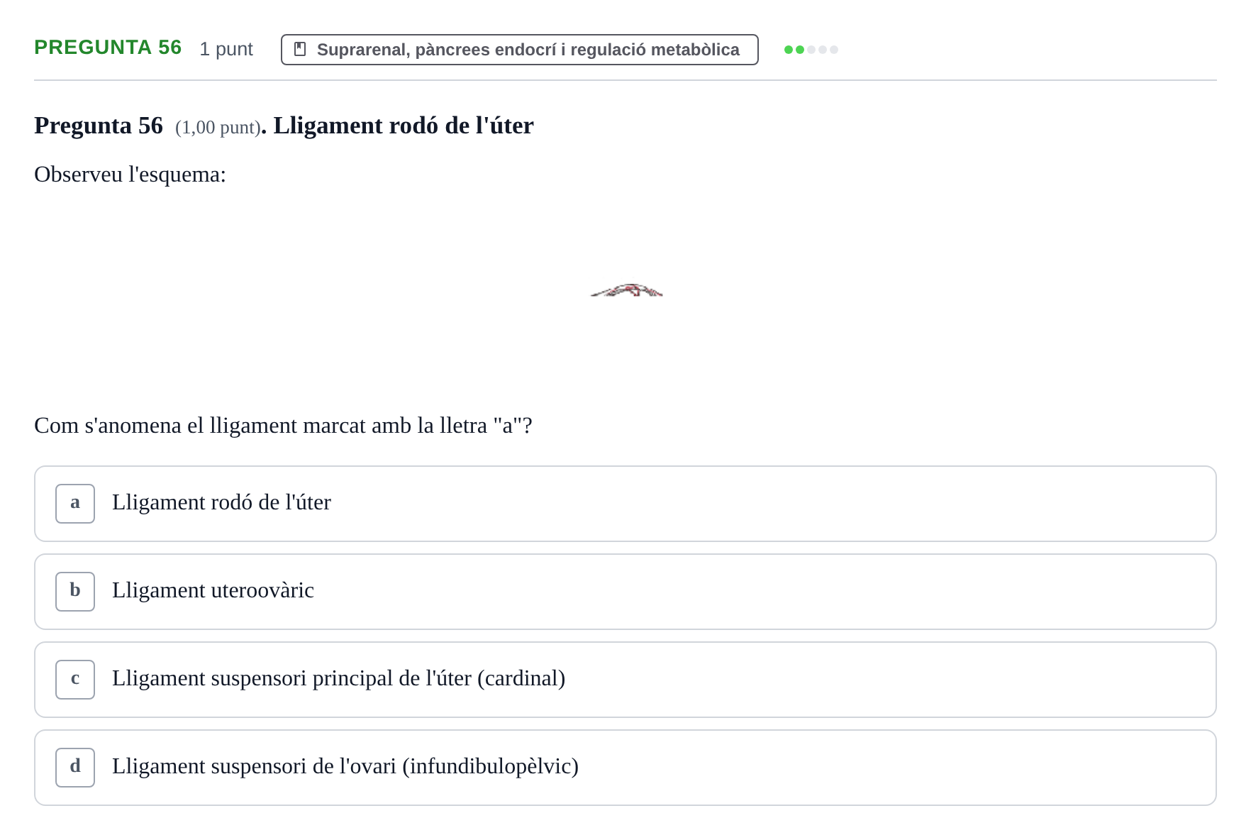Enunciado: Pregunta 56 · Estructura i Funció del Cos Humà III UVIC Examen Parcial 2. Estructura i Funció del Cos Humà III