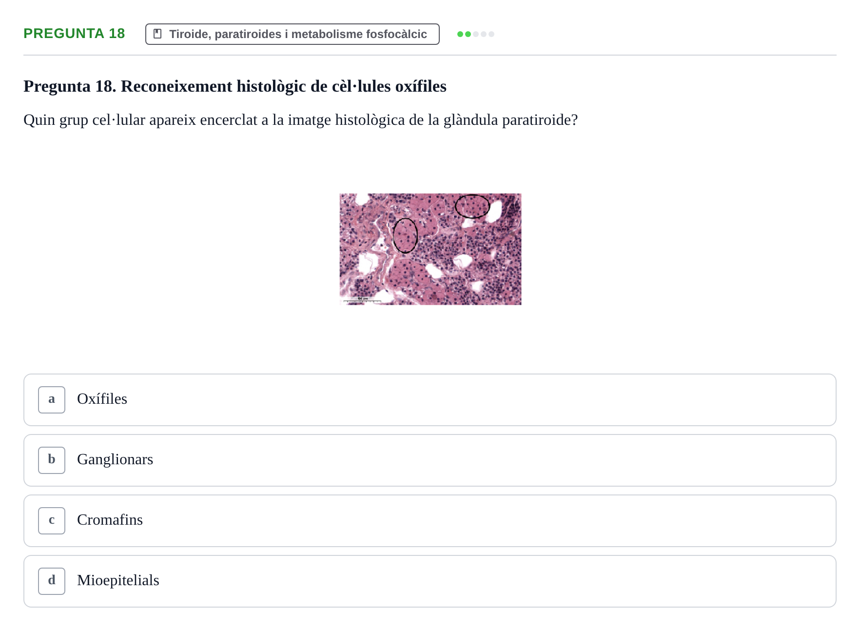 Enunciado: Pregunta 18 · Estructura i Funció del Cos Humà III UVIC Examen Parcial 2 - Estructura i Funció del Cos Humà III