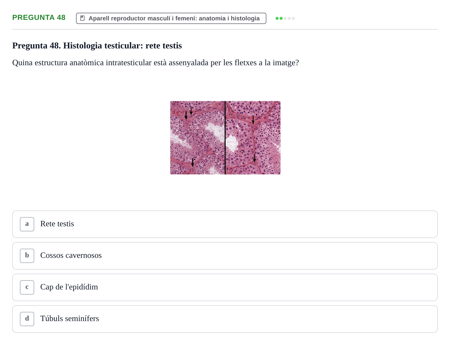 Enunciado: Pregunta 48 · Estructura i Funció del Cos Humà III UVIC Examen Parcial 2 - Estructura i Funció del Cos Humà III
