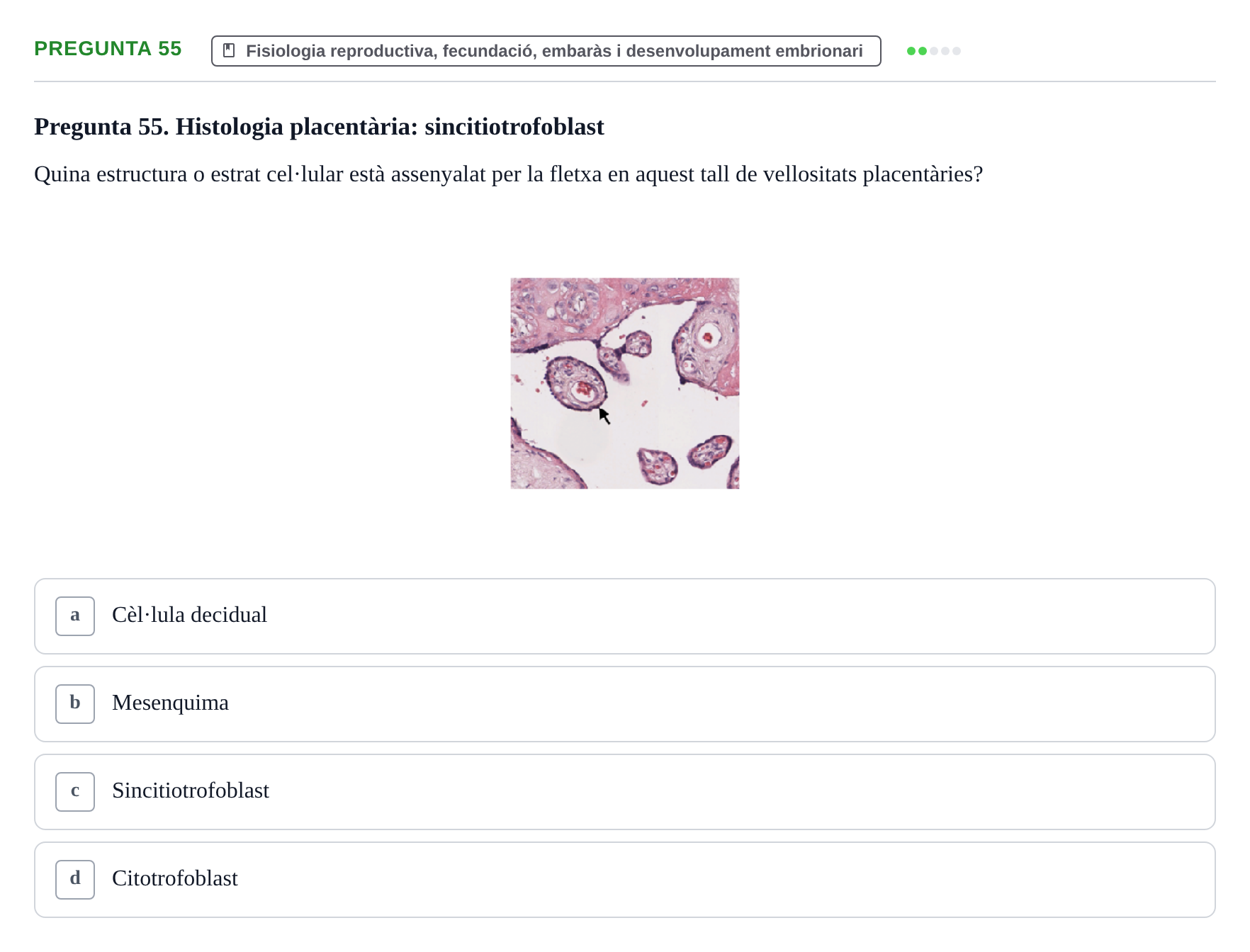 Enunciado: Pregunta 55 · Estructura i Funció del Cos Humà III UVIC Examen Parcial 2 - Estructura i Funció del Cos Humà III