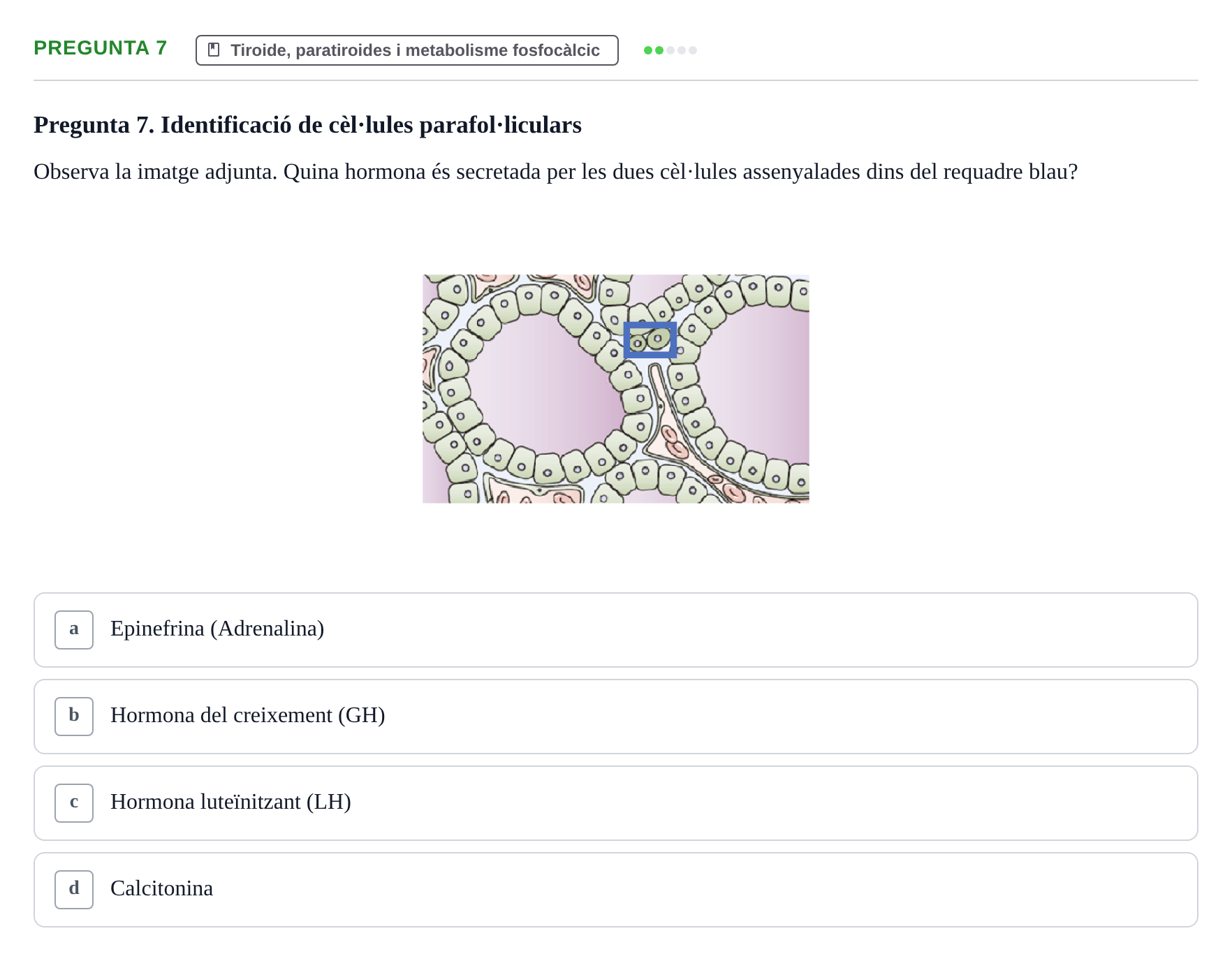 Enunciado: Pregunta 7 · Estructura i Funció del Cos Humà III UVIC Examen Parcial 2 - Estructura i Funció del Cos Humà III