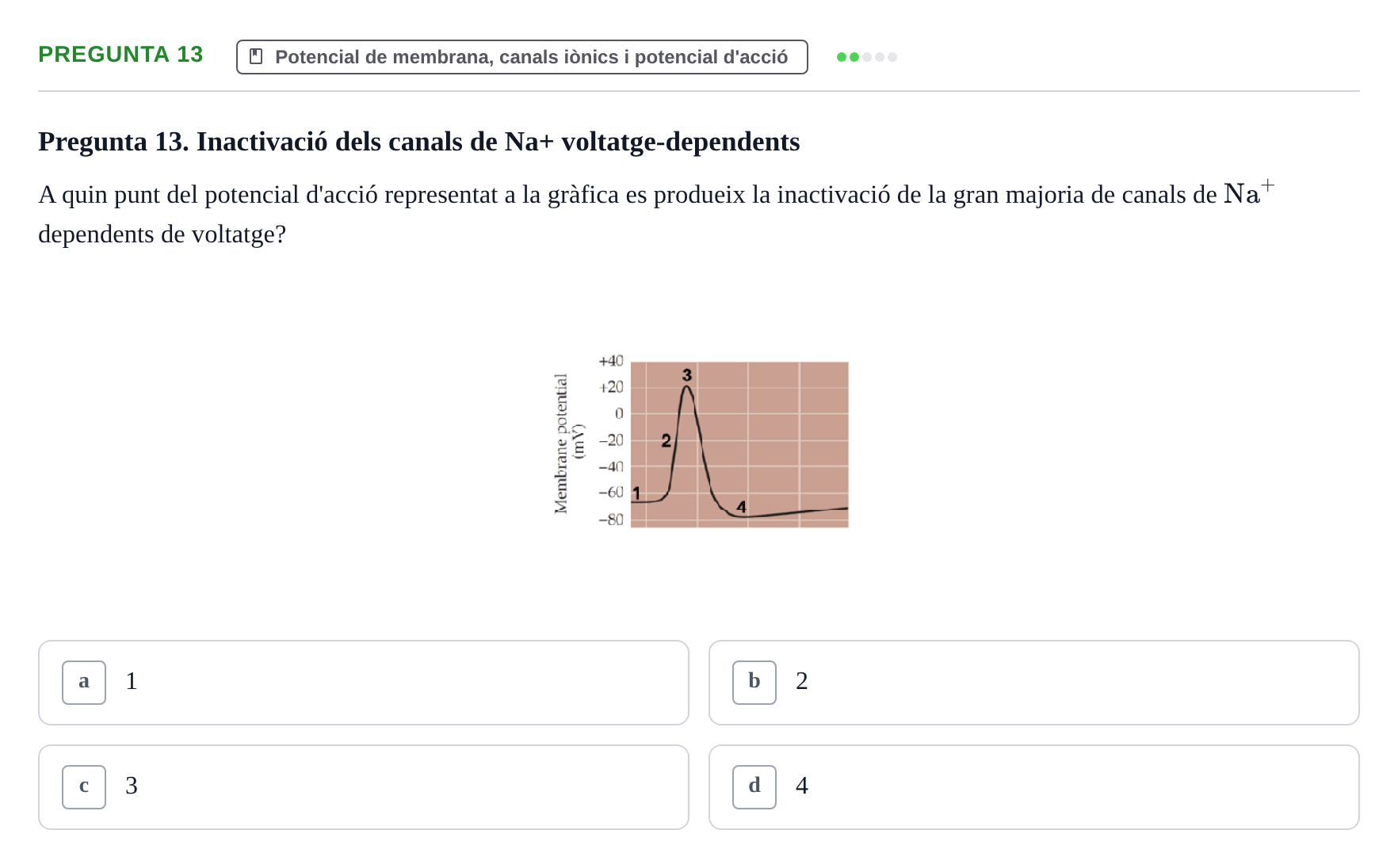 Enunciado: Pregunta 13 · Estructura i Funció del Cos Humà III UVIC 2025