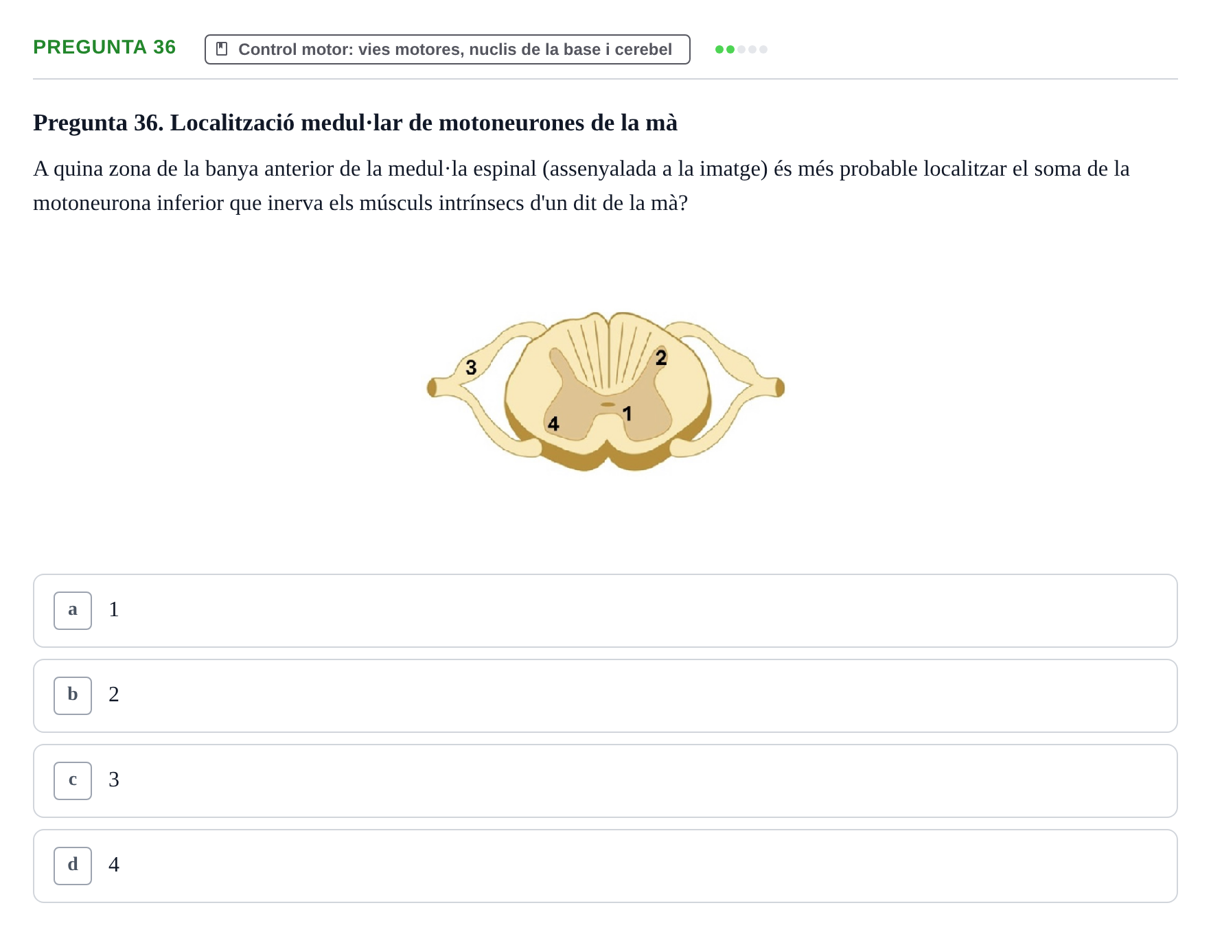 Enunciado: Pregunta 36 · Estructura i Funció del Cos Humà III UVIC 2025