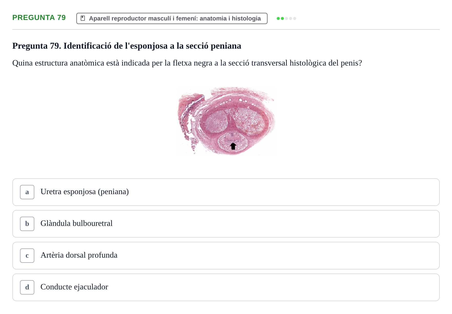 Enunciado: Pregunta 79 · Estructura i Funció del Cos Humà III UVIC 2025