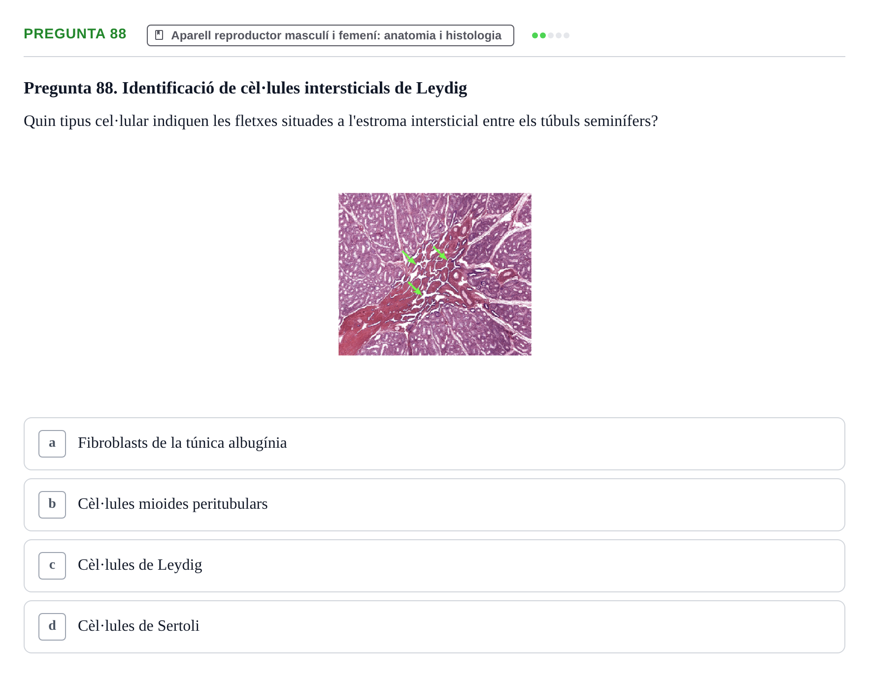Enunciado: Pregunta 88 · Estructura i Funció del Cos Humà III UVIC 2025