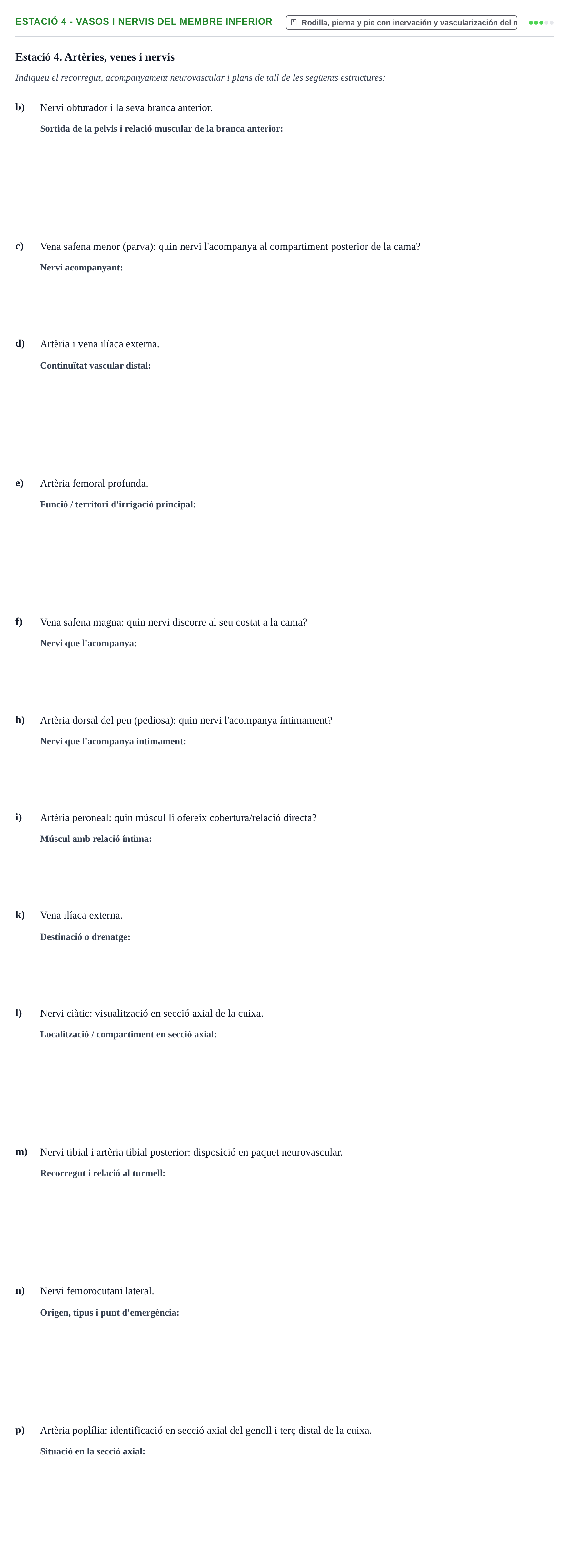 Enunciado: Ejercicio Estació 4 - Vasos i nervis del membre inferior · Aparato Locomotor UDL Examen pràctic: Aparell Locomotor (Segon Semestre)