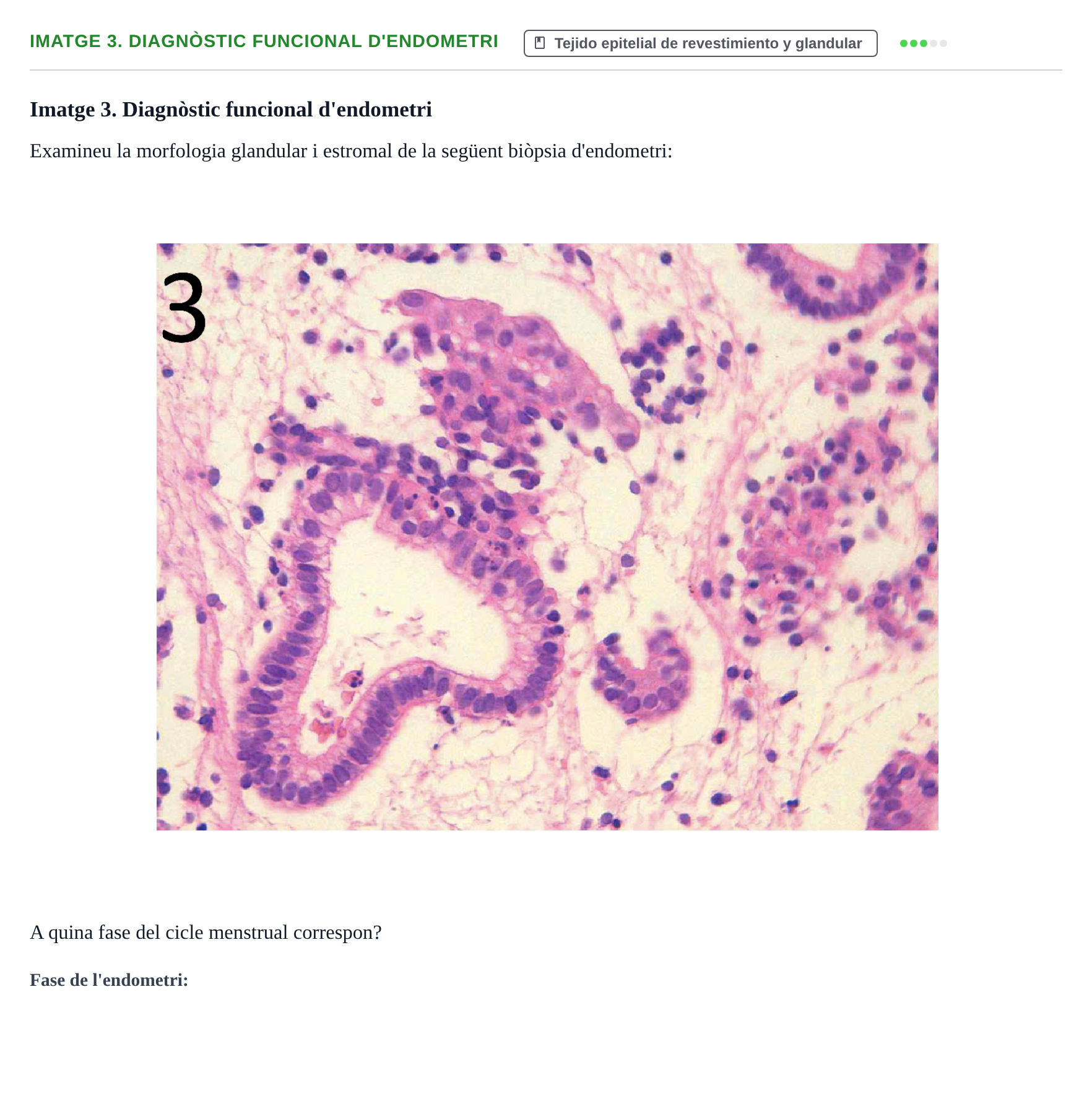 Enunciado: Ejercicio Imatge 3. Diagnòstic funcional d'endometri · Anatomia Microscòpica UDL 2015
