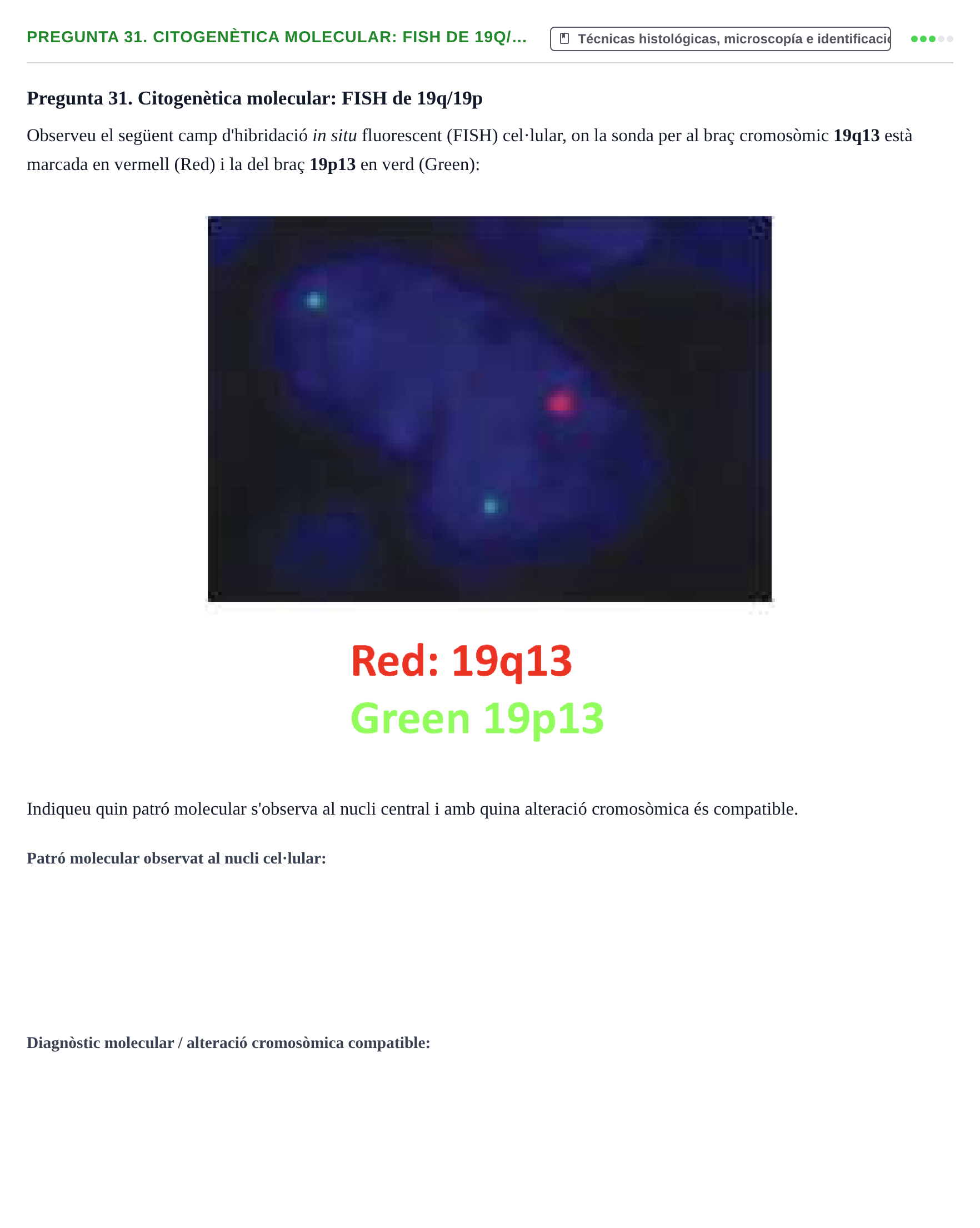 Enunciado: Pregunta 31. Citogenètica molecular: FISH de 19q/… · Anatomia Microscòpica UDL 2015