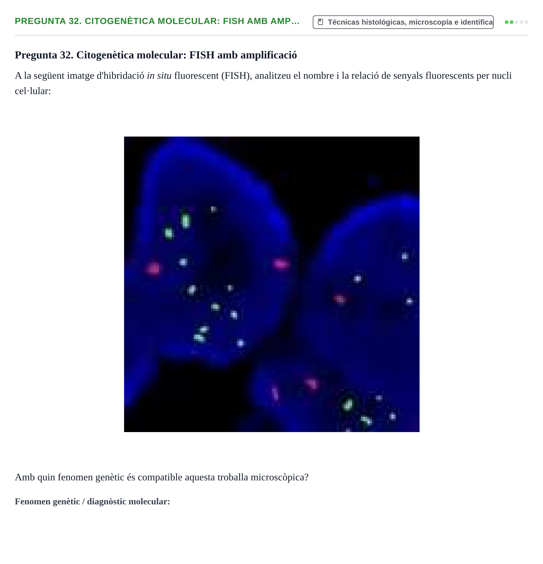 Enunciado: Pregunta 32. Citogenètica molecular: FISH amb amp… · Anatomia Microscòpica UDL 2015