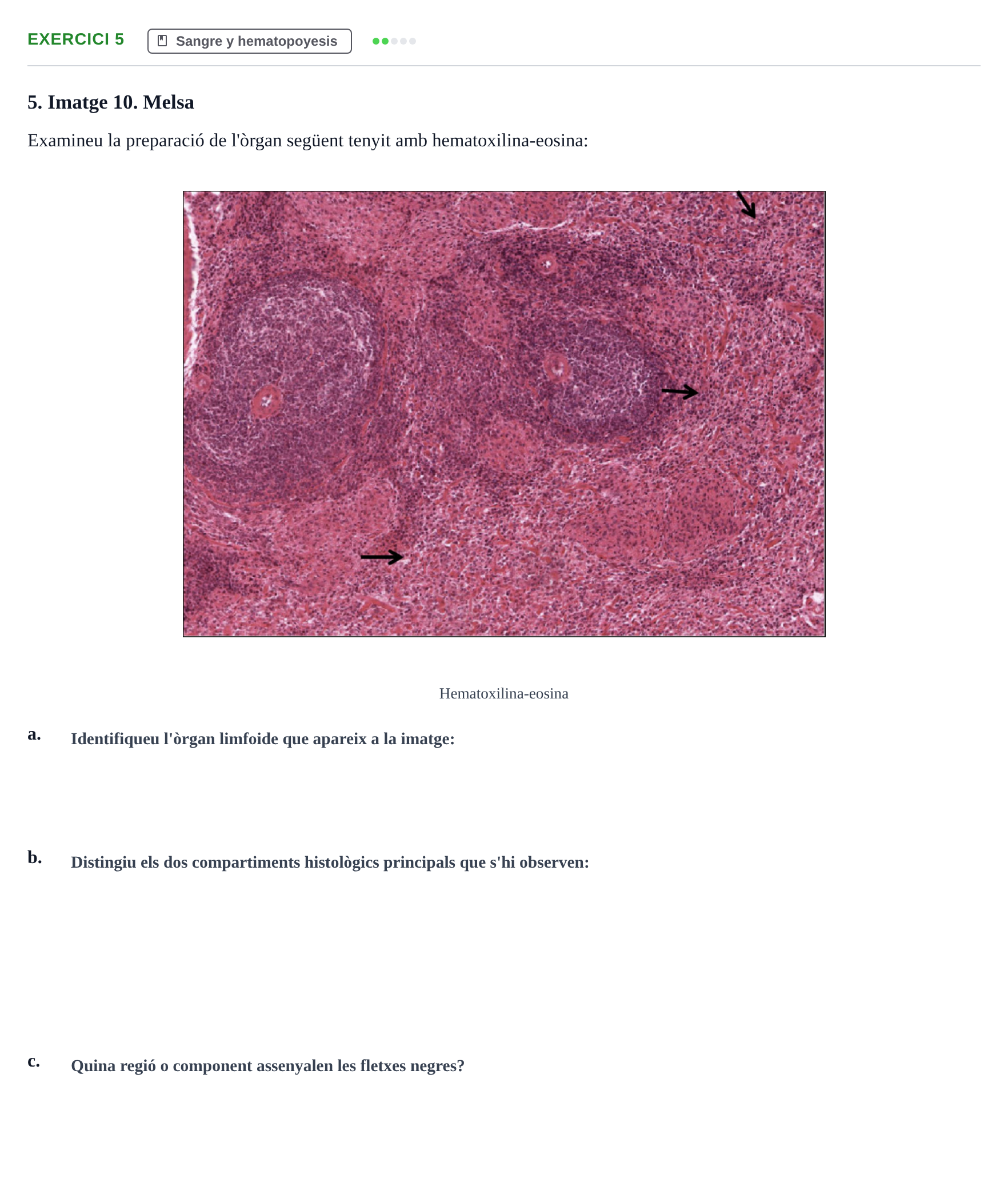 Enunciado: Problema 5 · Anatomia Microscòpica UDL 2020