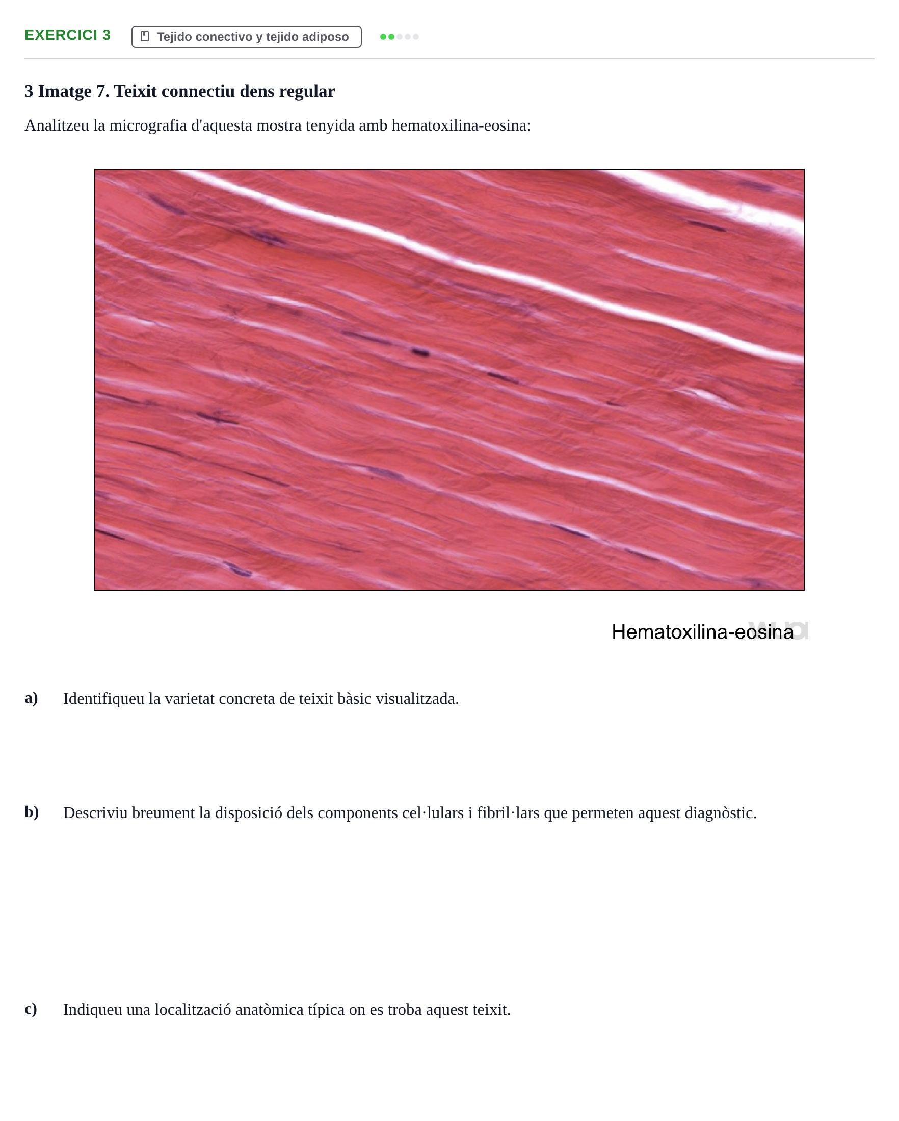 Enunciado: Problema 3 · Anatomia Microscòpica UDL 2020
