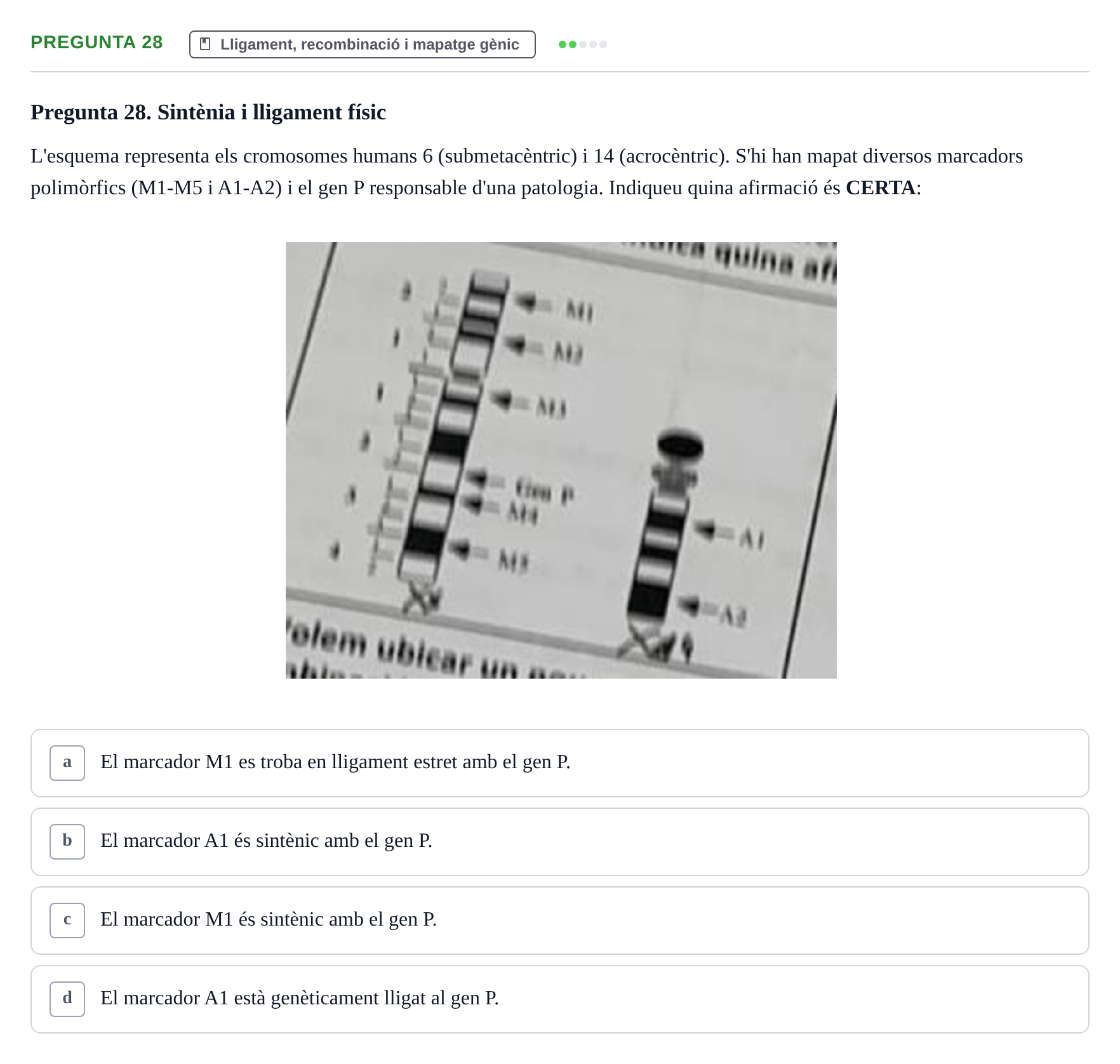 Enunciado: Pregunta 28 · Genòmica Humana UDL 2019
