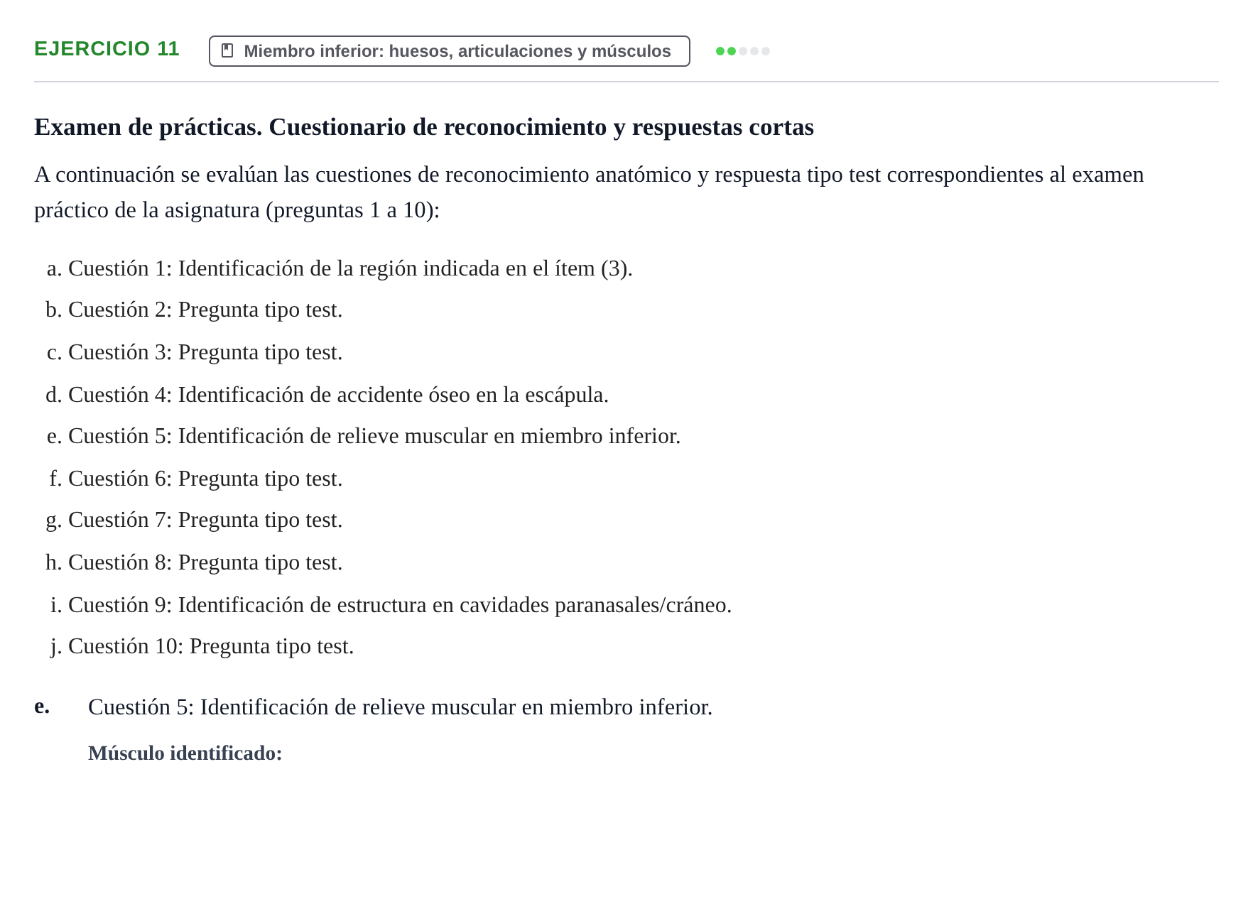 Enunciado: Ejercicio 11 - Miembro inferior: huesos, articulaciones y m… · Estructura y Función del Cuerpo Humano i : Anatomía e Histología UPF Examen de ensayo: Anatomía y Embriología