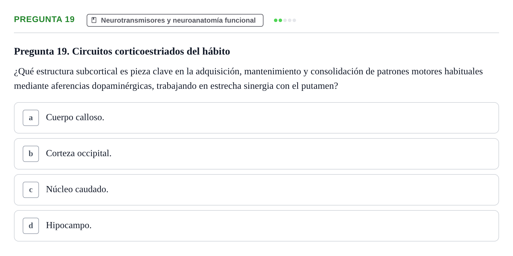 Enunciado: Pregunta 19