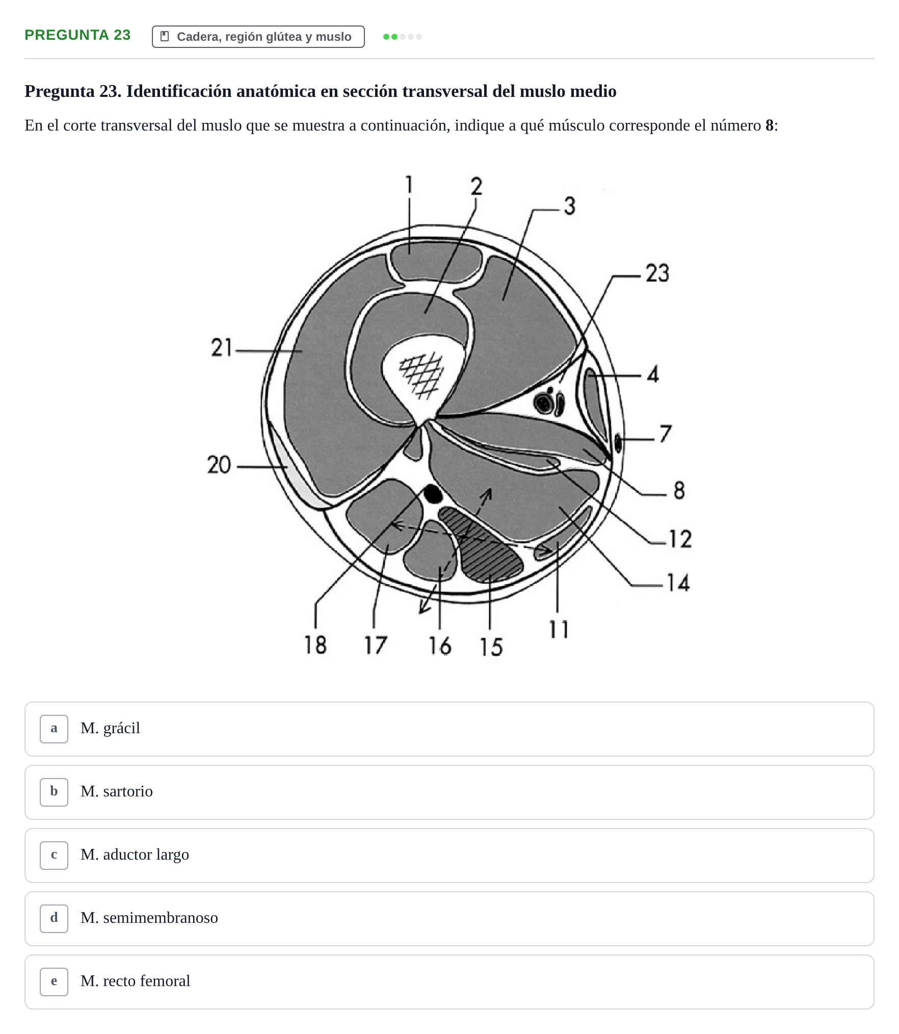 Enunciado: Pregunta 23 · Anatomía General y del Aparato Locomotor URV 2020